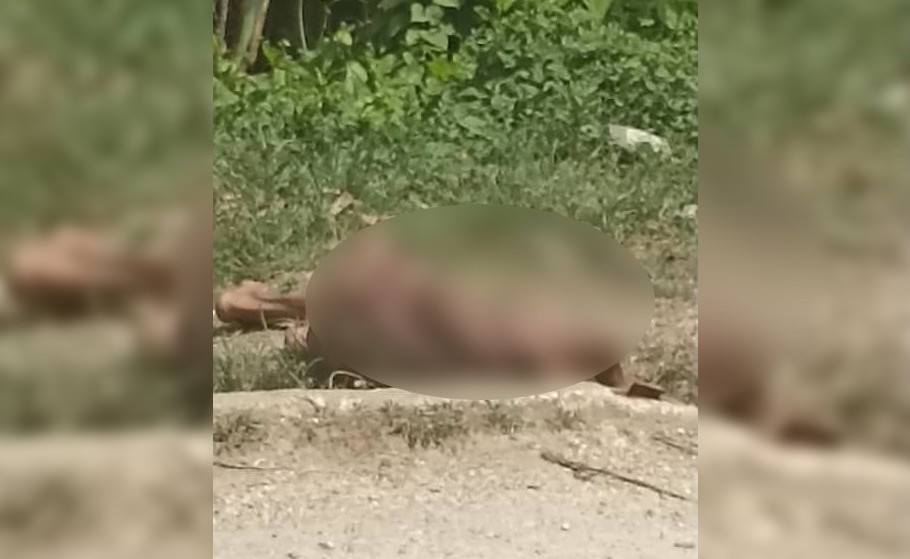 Paciente psiquiátrico aparece en estado crítico de desnutrición en Holguín