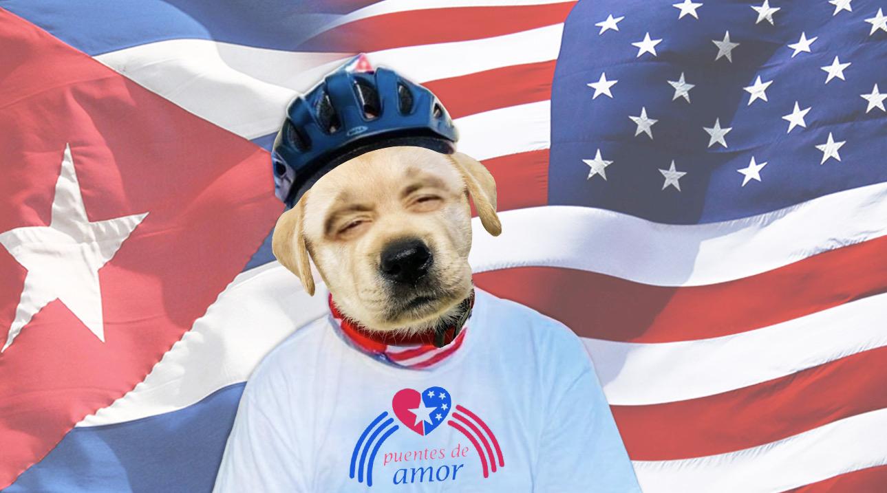A otro perro con ese Lazo