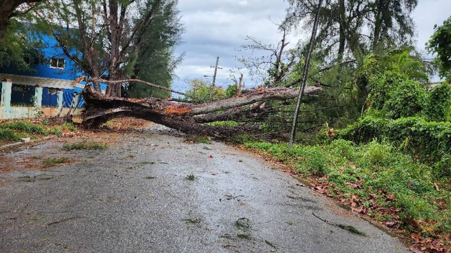 Caos en La Habana tras fuertes vientos y lluvias: cortes eléctricos, árboles caídos e inundaciones 