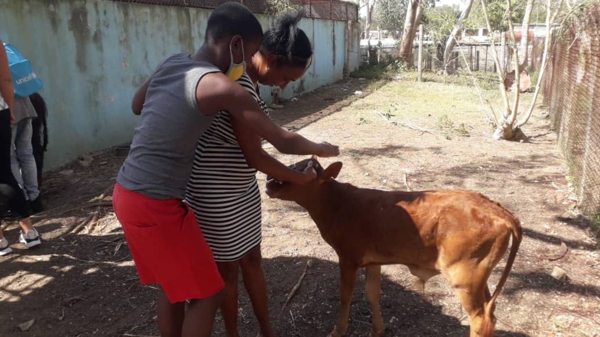 Cierra Zoológico Nacional de Cuba por falta de combustible 
