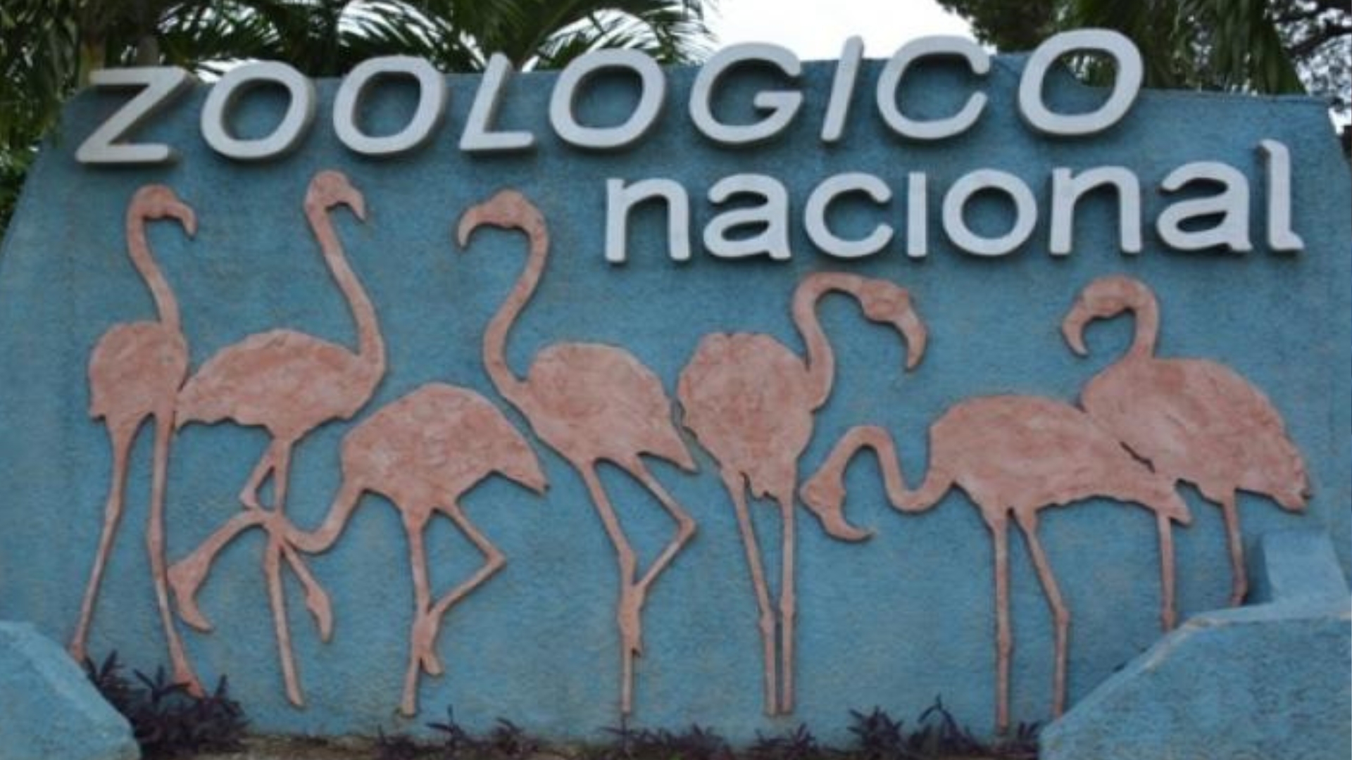 Cierran Zoológico de La Habana por casos de “gripe aviar”