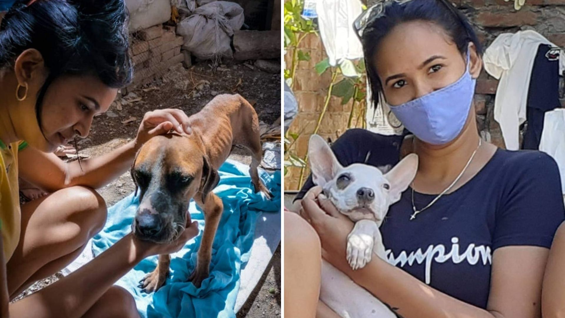 Conmoción en comunidad animalista cubana por fallecimiento de estudiante de medicina Cinthia Matos