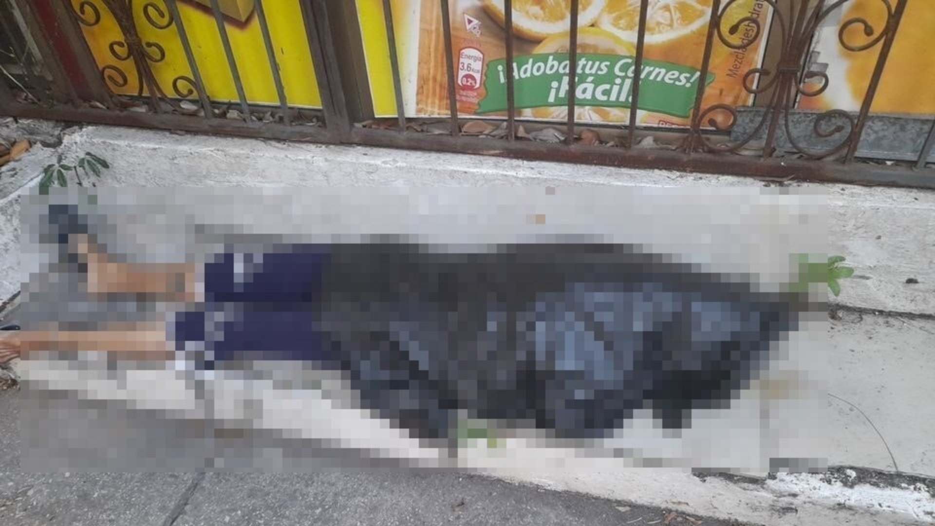 Conmoción por muerte de querida veterinaria en plena calle de La Habana