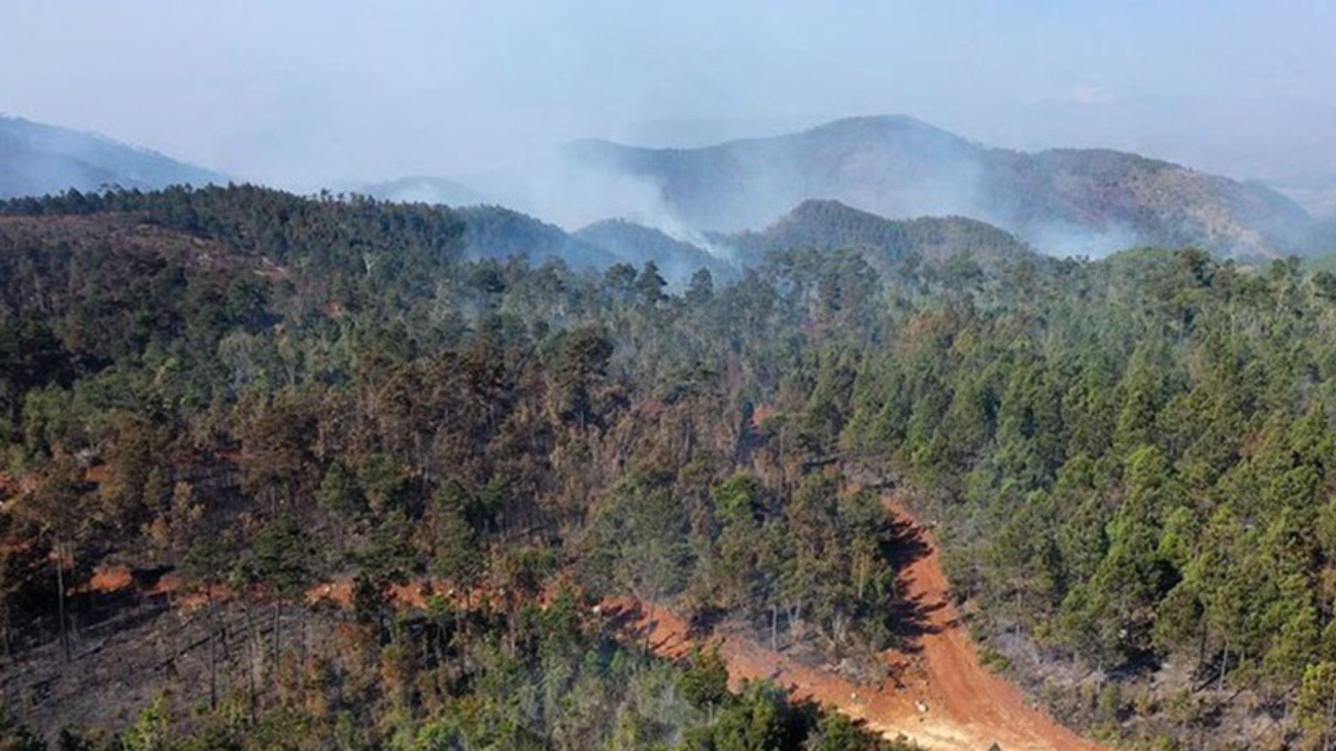 Continúa descontrolado el incendio forestal en Holguín