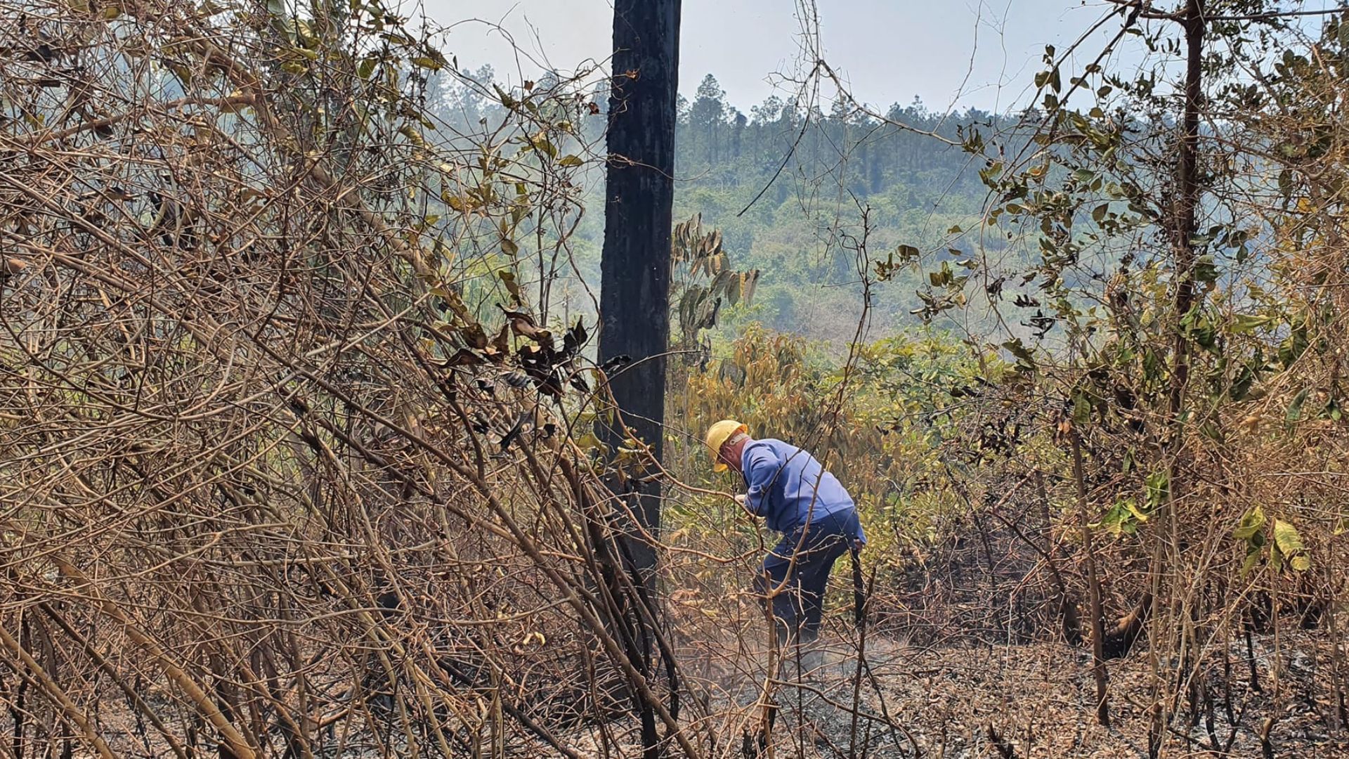 Controlado gran incendio forestal en Pinar del Río