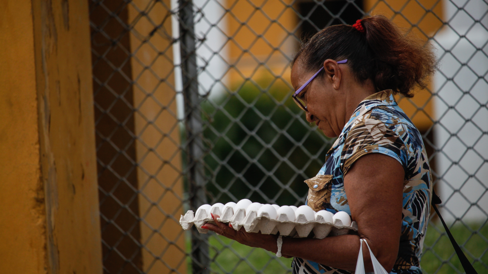 Crisis de los huevos en Cuba: un reflejo de la mala gestión del régimen, según Food Monitor Program