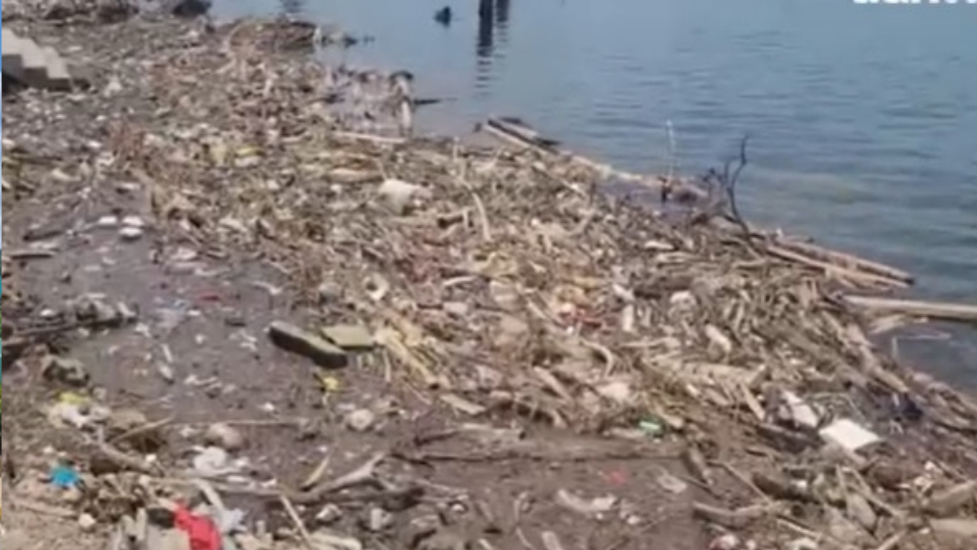 Denuncia en Cuba: "A nadie le importa el Medio Ambiente"