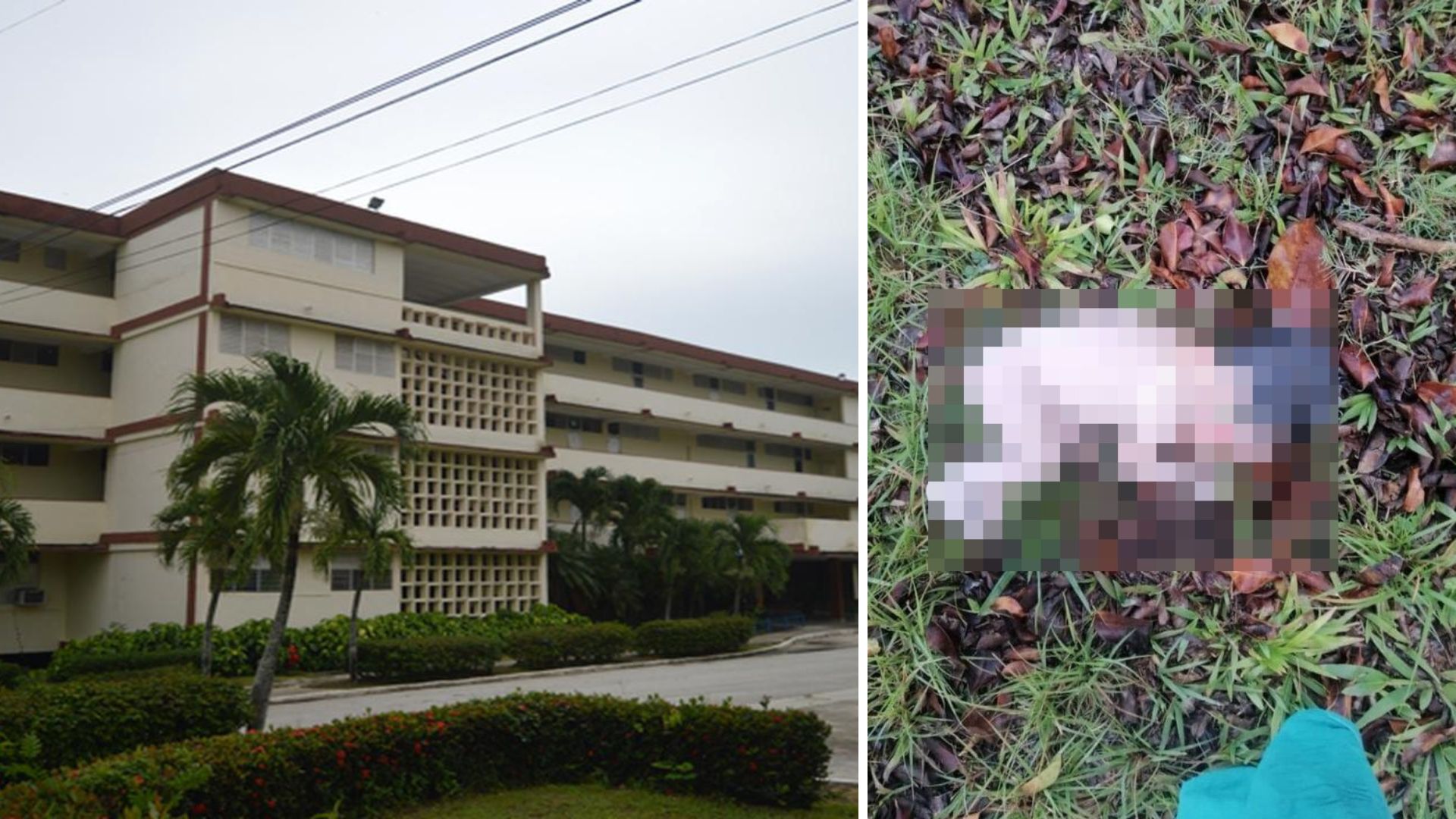 Denuncian muerte de una bebé recién nacida y abandonada en escuela de Villa Clara