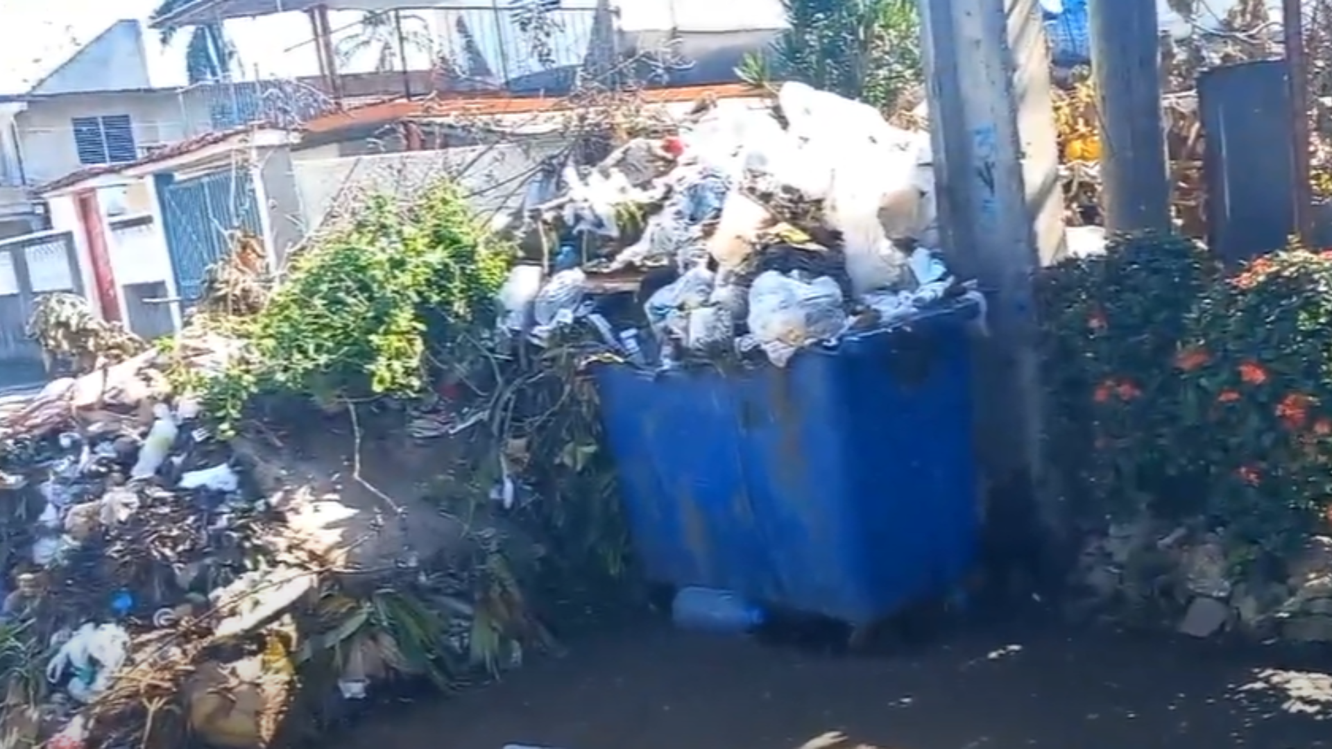 Desbordados los contenedores de basura en La Habana 