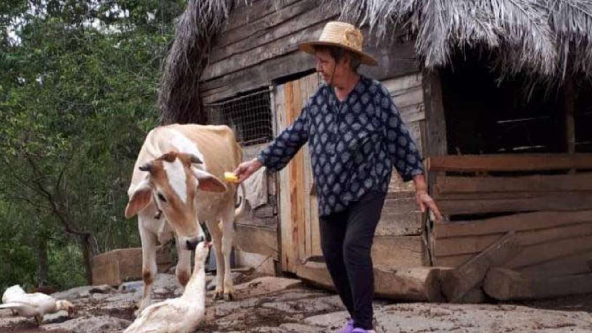 Destruida finca El Infierno de los Urquiola: "Sin techo pero vivos"