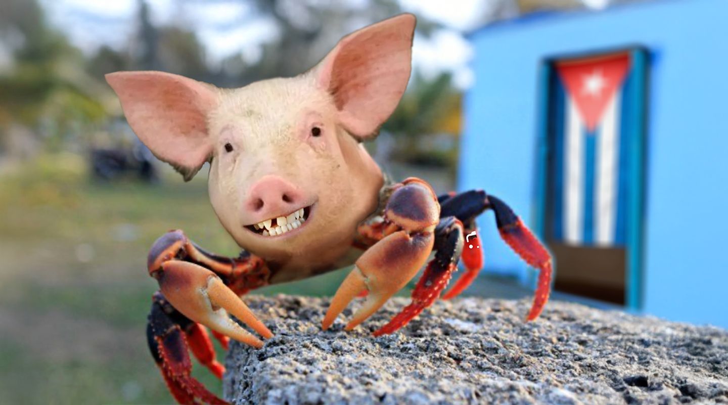El puerco que se disfrazó de cangrejo