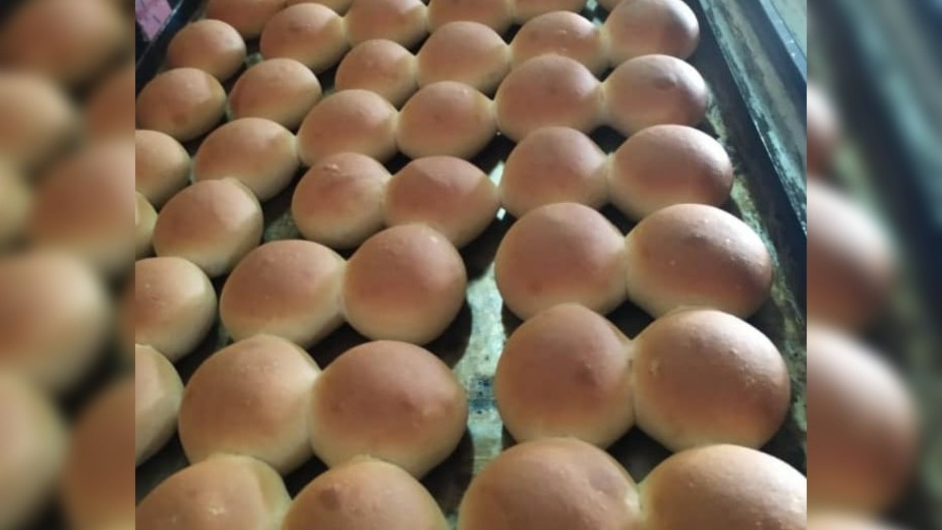 Empresa del régimen "descubre" que en La Habana venden pan con "bajo peso"