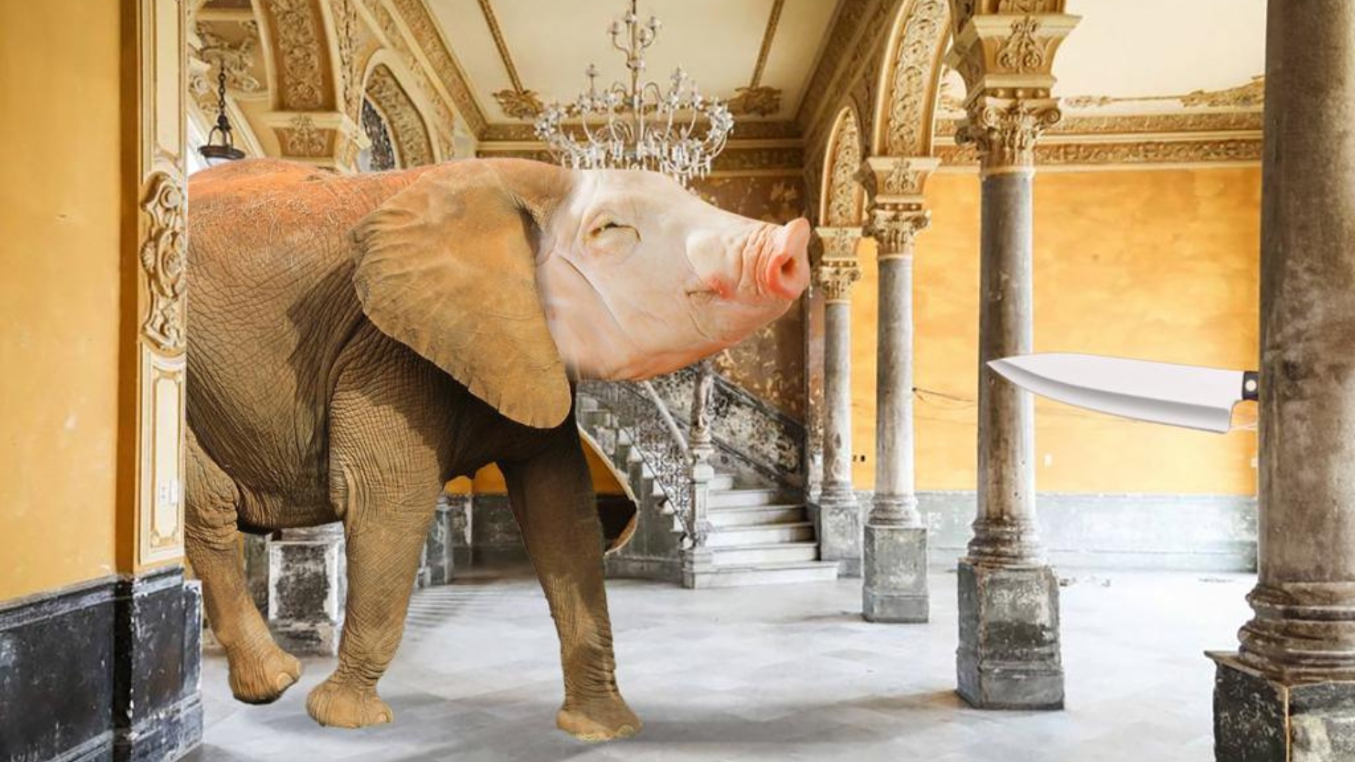 Escondan al elefante