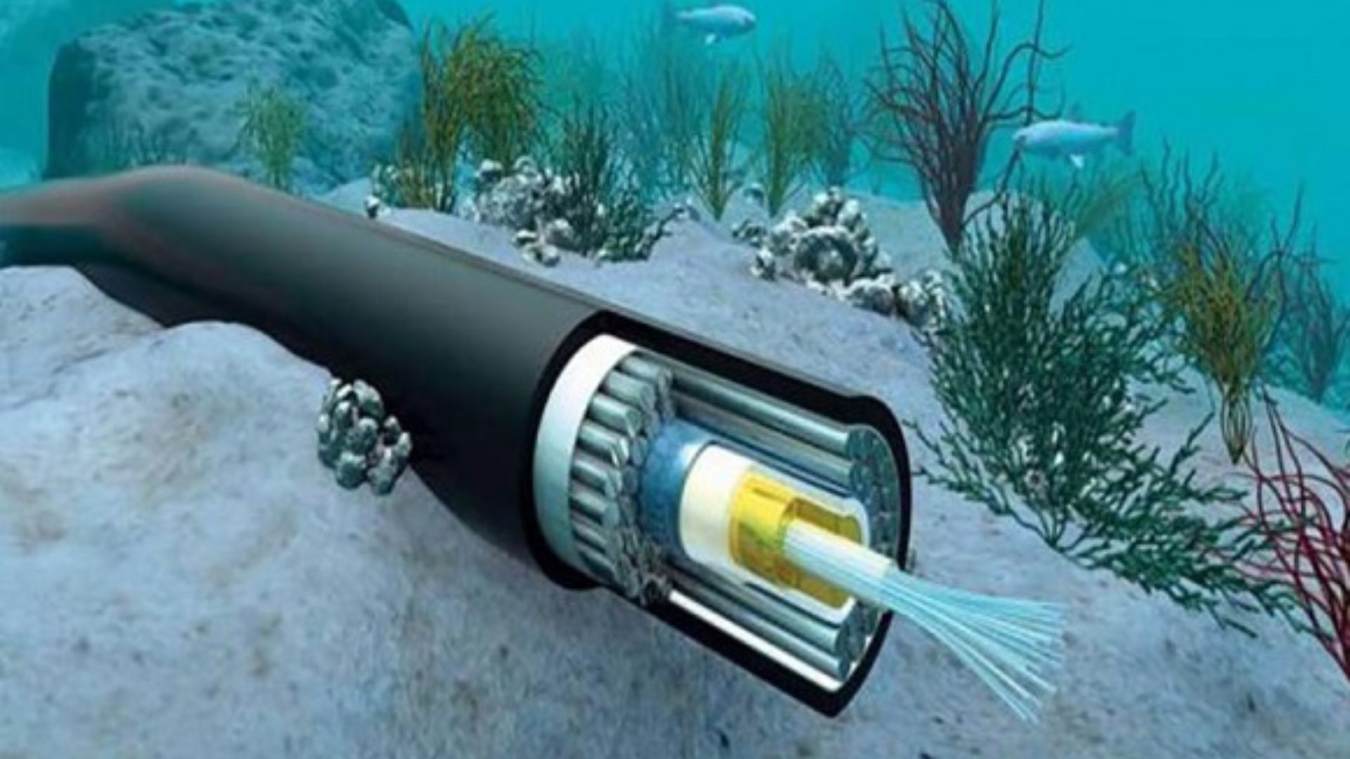 Etecsa inicia pruebas de nuevo cable submarino, ¿mejorará la conexión?