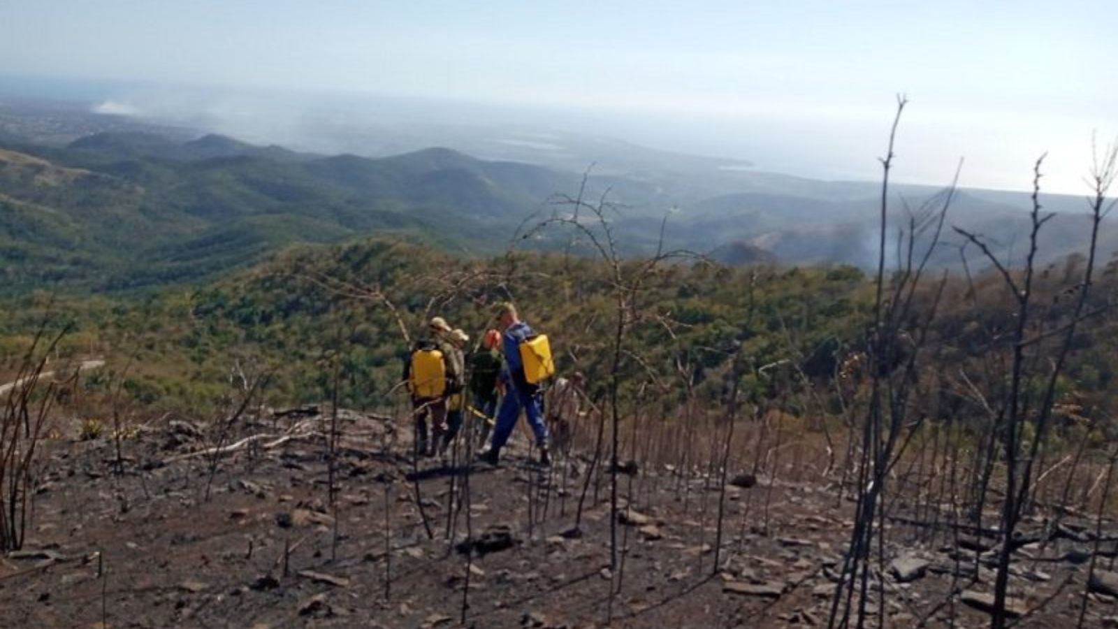 Extinguido incendio forestal en zona de Topes de Collantes con negocios de GAESA