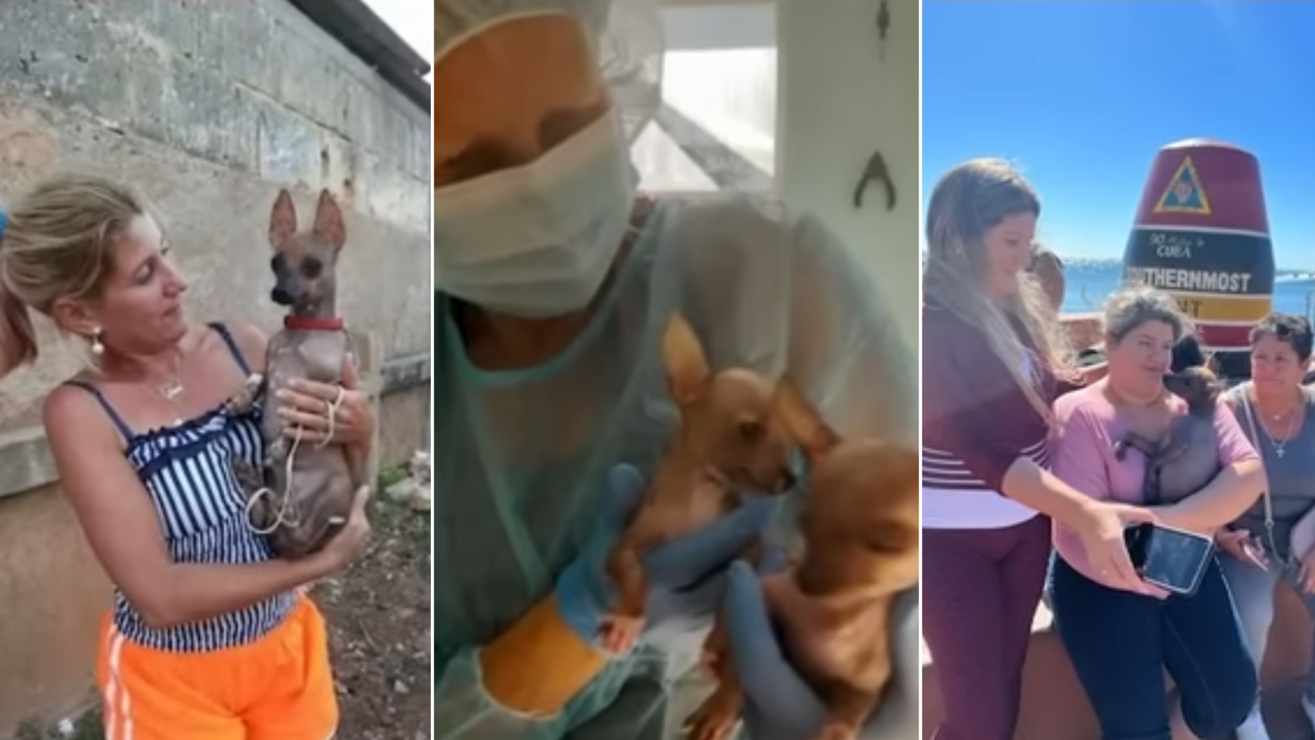 Familia cubana llega a Florida con sus perritos chinos en una balsa