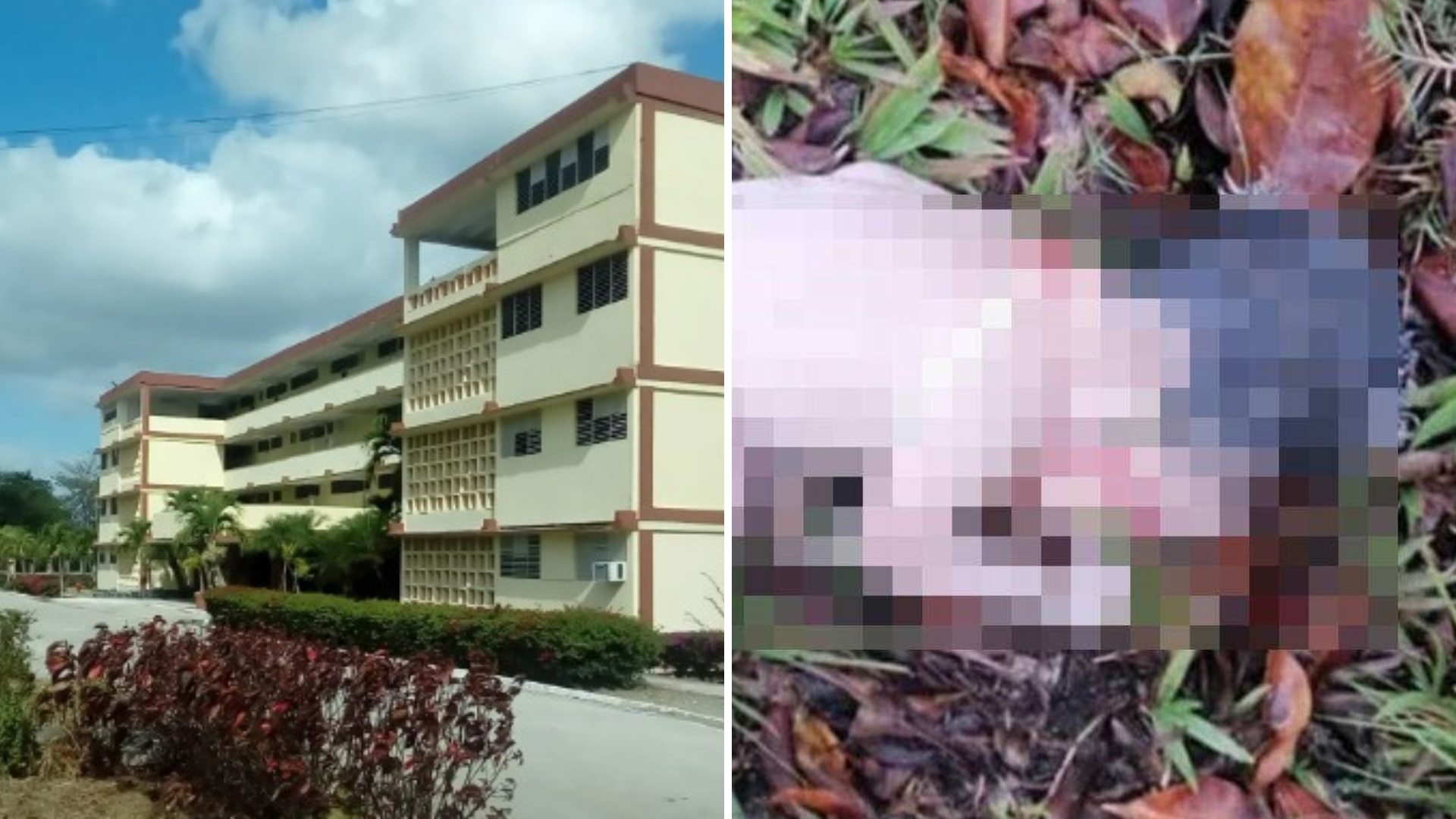 Filtran audio de directivo de EIDE de Villa Clara sobre muerte de recién nacido: “Esa foto salió del personal nuestro”
