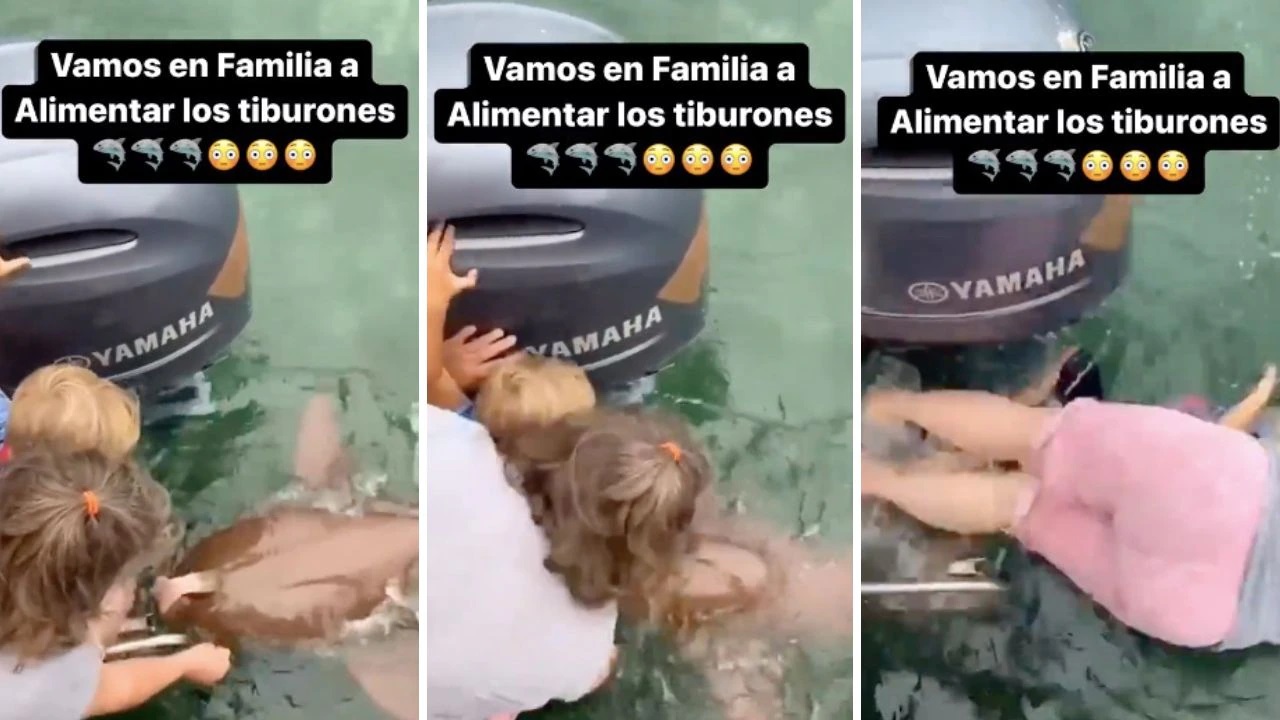 Fuertes imágenes: Llevó a su hija a alimentar tiburones y casi la pierde  