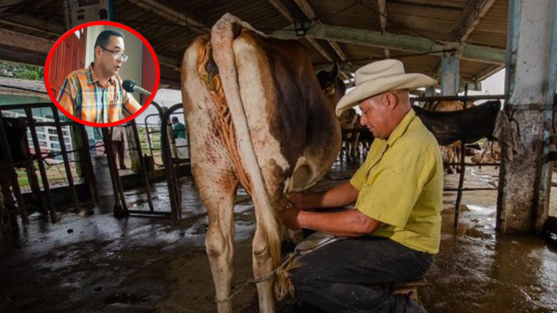 Gobernador camagüeyano apela "a la vergüenza" para producir más leche