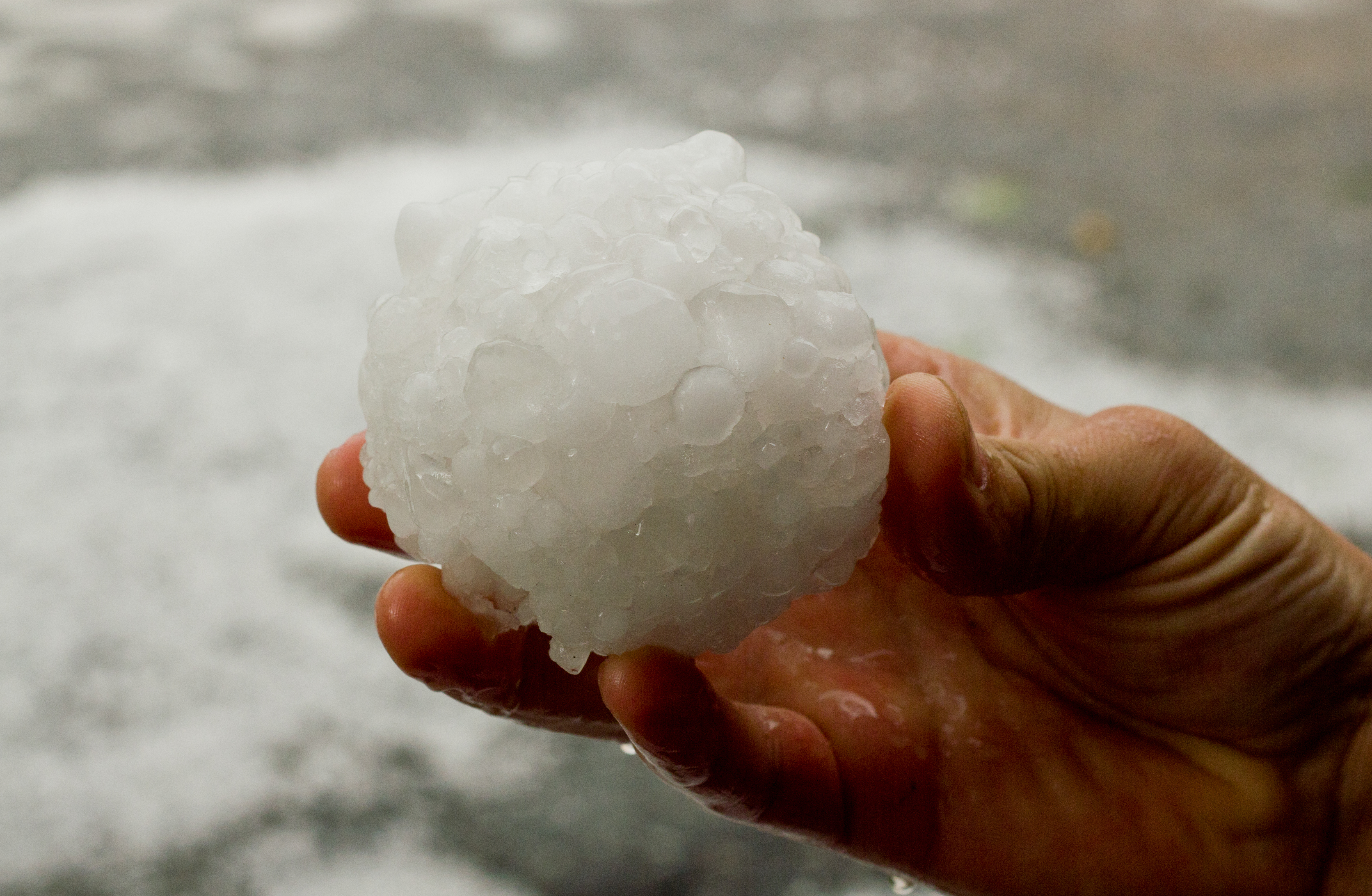Granizo del tamaño de pelotas de tenis causa estragos en Florida