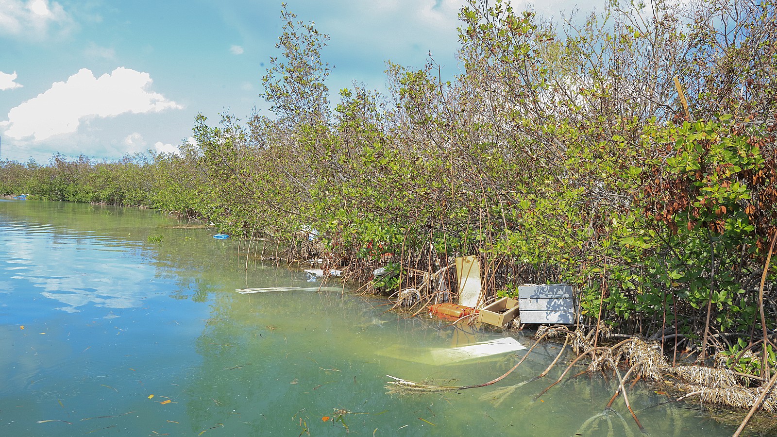 Hallan cadáveres de 2 mujeres, supuestamente migrantes cubanas,  en aguas de Florida