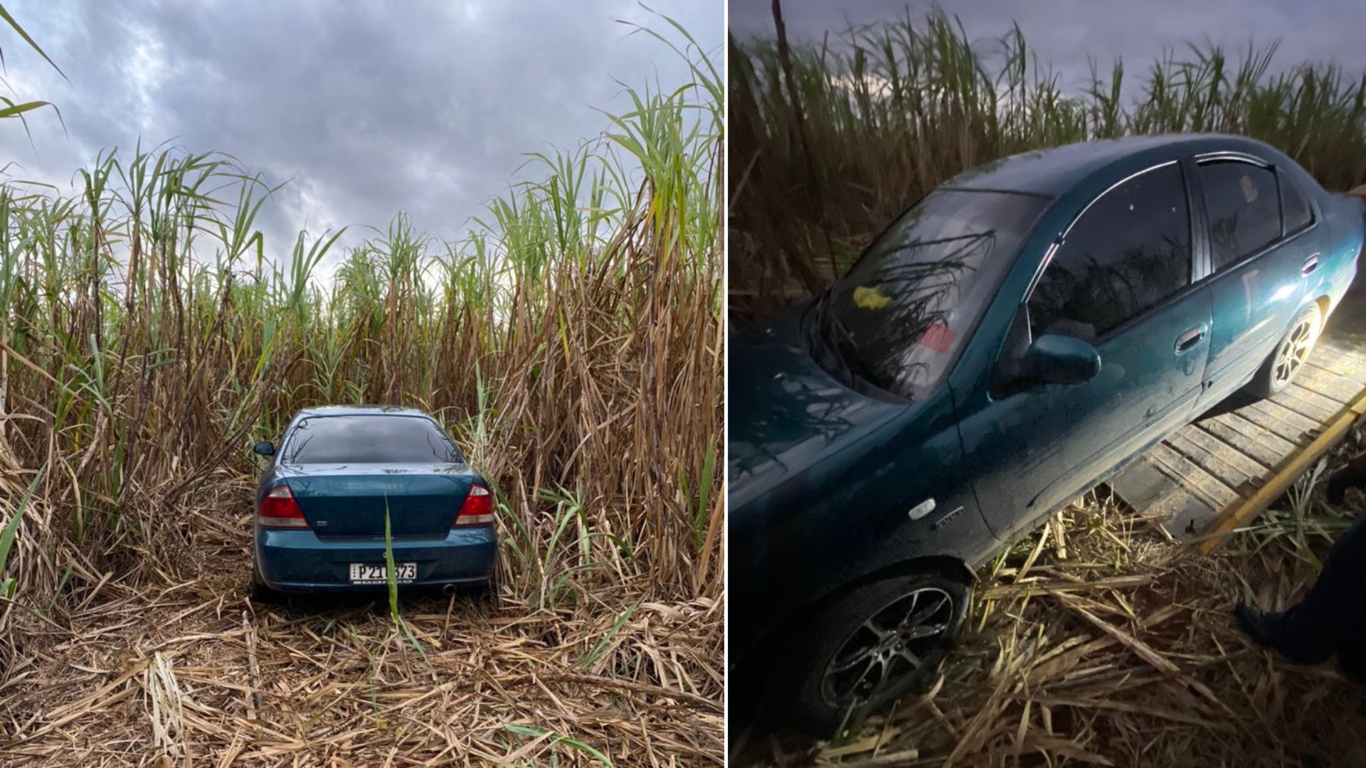 Hallan oculto en cañaveral un auto robado en Cárdenas