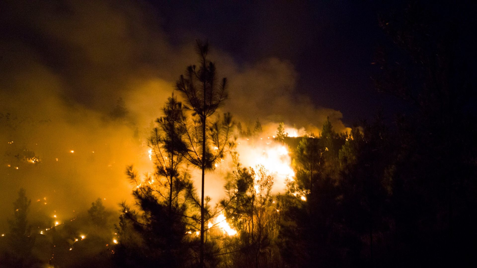 Holguín: Más de cinco mil hectáreas afectadas por incendio forestal