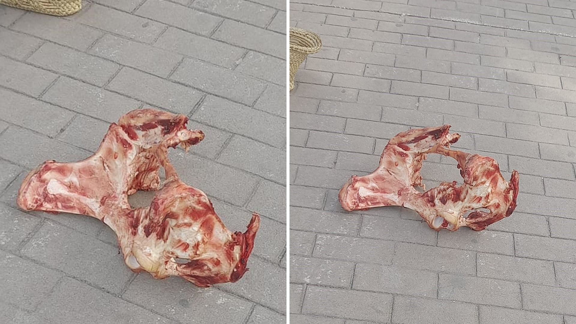 Huesos en venta a la población: “Ellos se quedan con la carne y el cubano de a pie con los huesos”