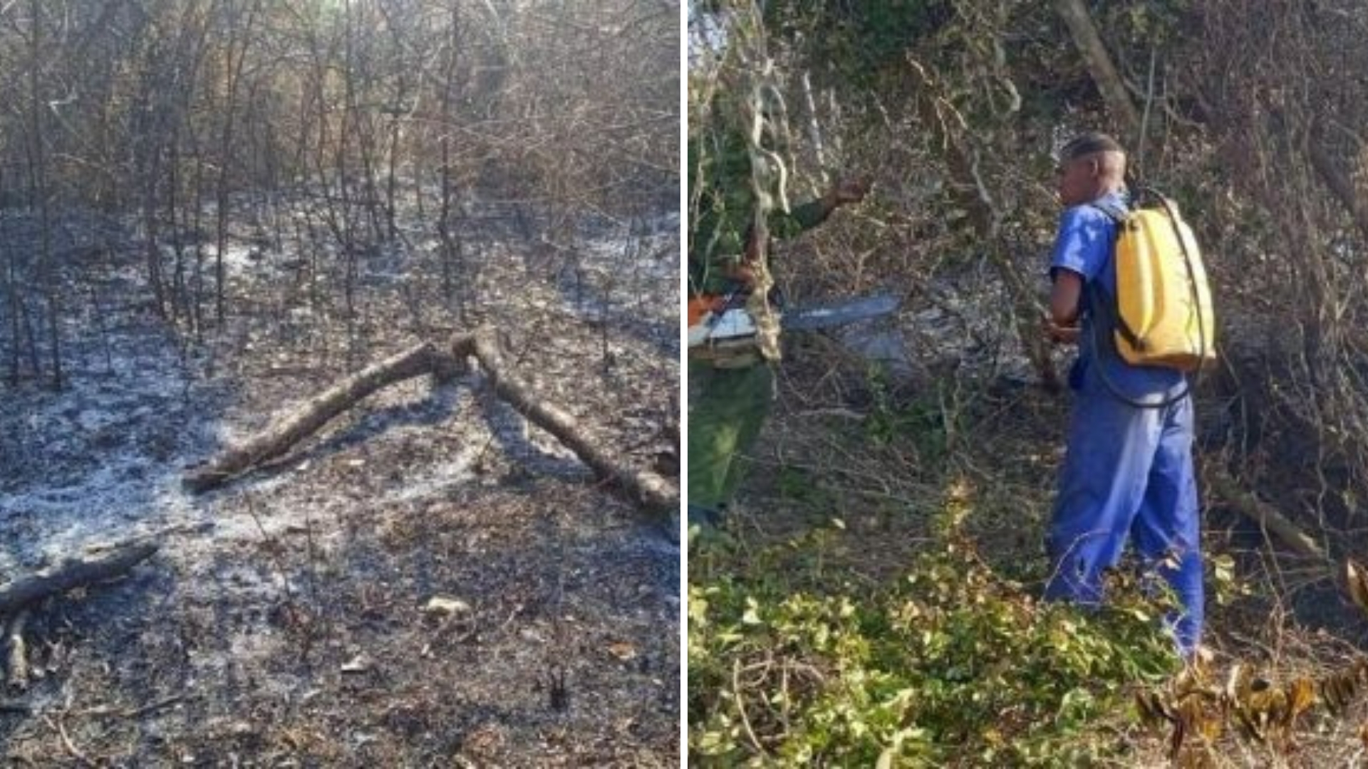 Incendio en Parque Nacional La Güira, de Pinar del Río, sigue activo