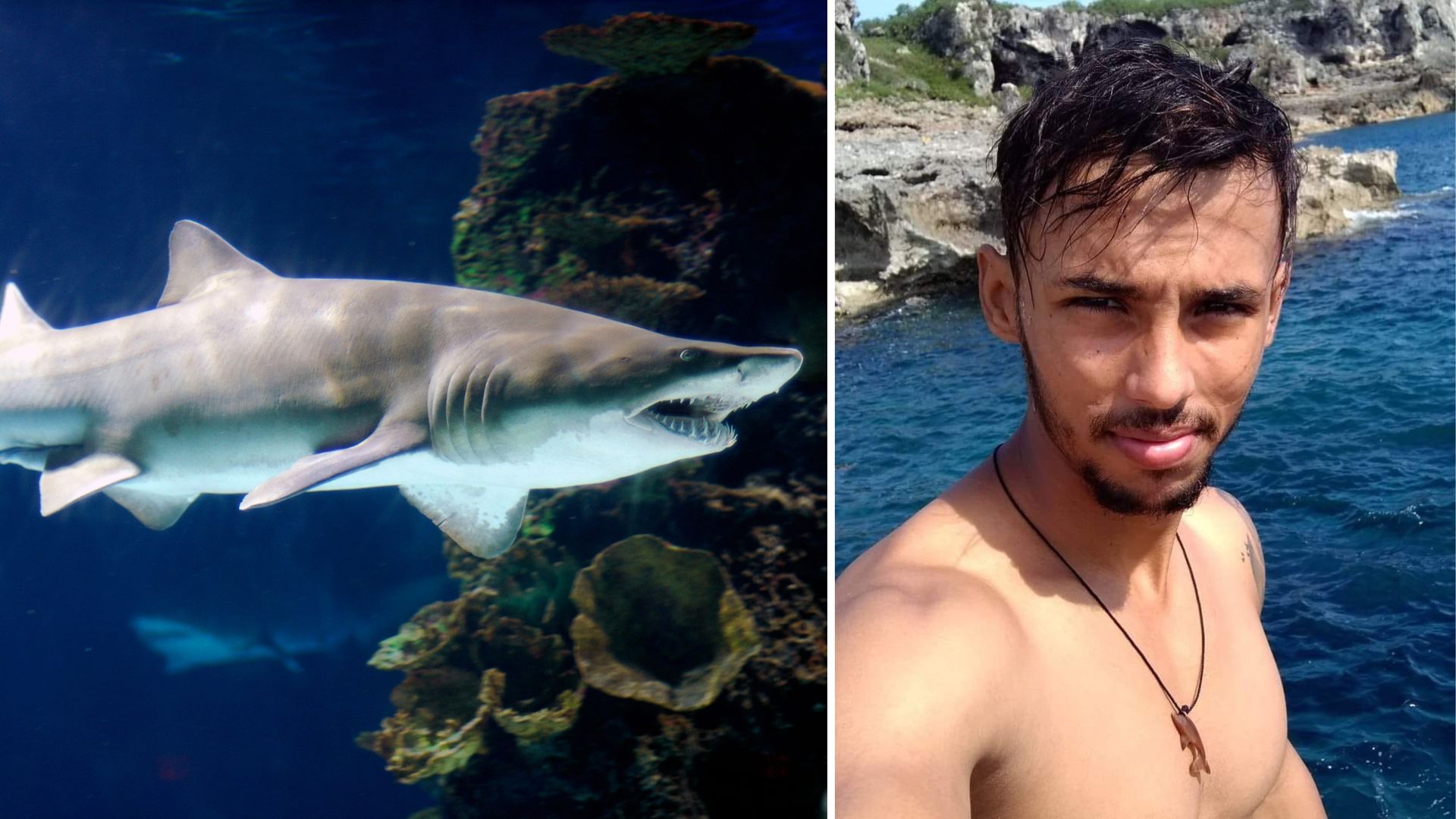 Joven pescador muere tras ataque de tiburón en Cuba