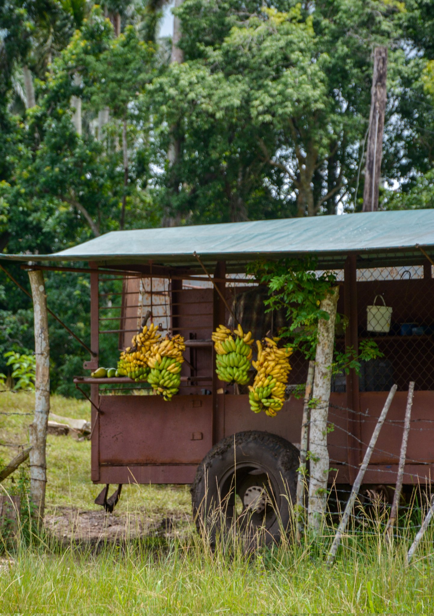 Kioscos y puntos de venta en carreteras: en la mira del régimen cubano