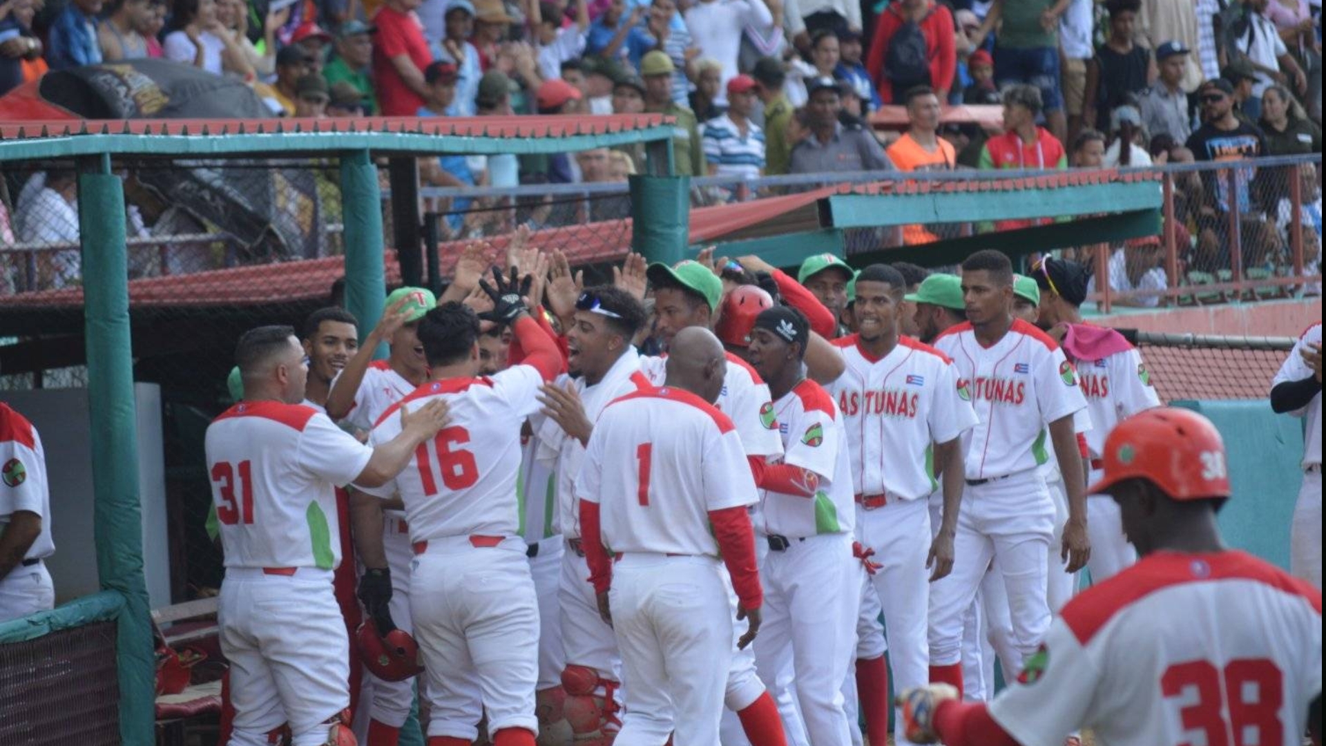 “Leñadores” tuneros son los primeros finalistas de la 62 Serie Nacional 