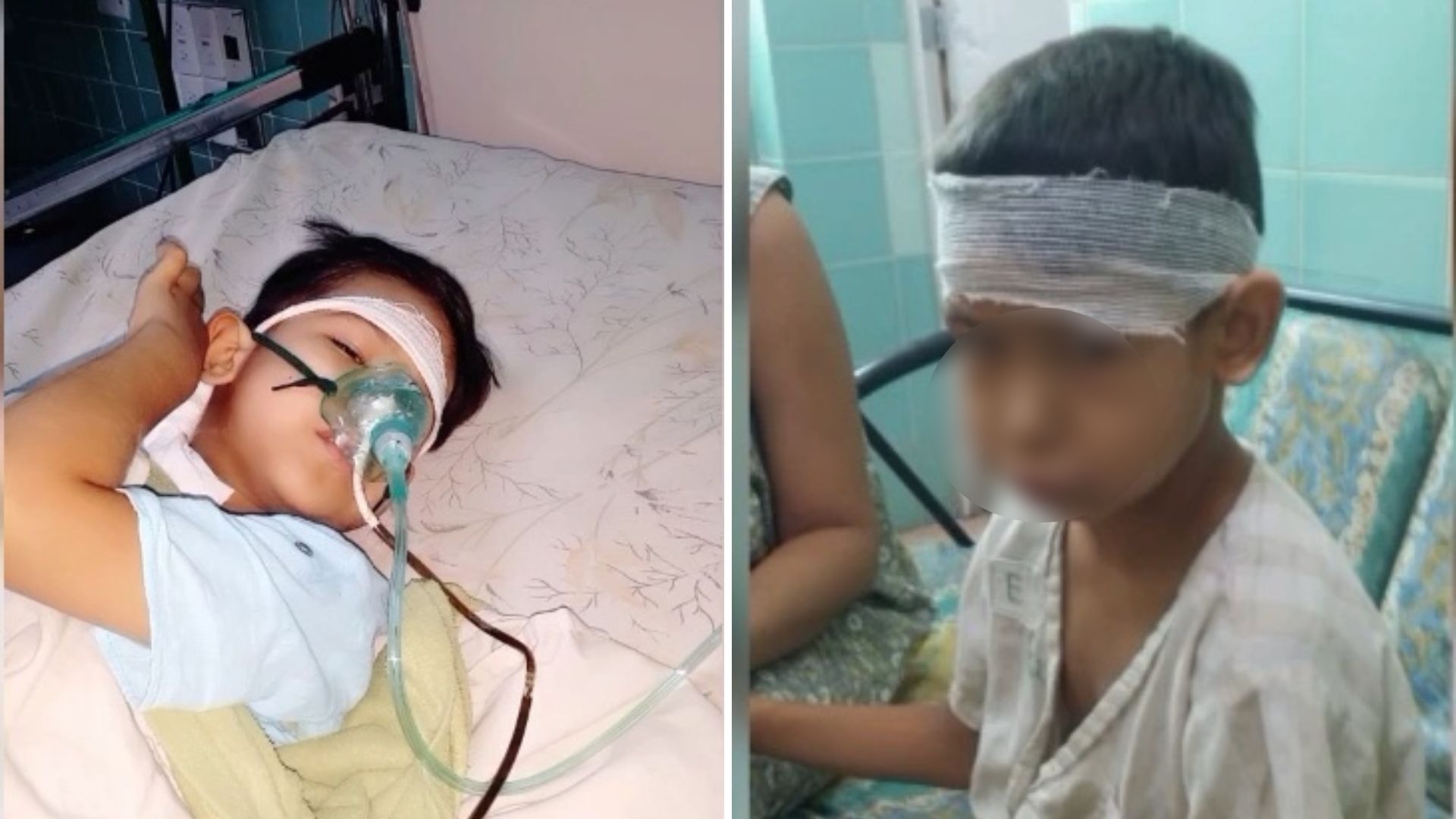 "Lo tenemos que sacar del país para que mi hijo siga viviendo"