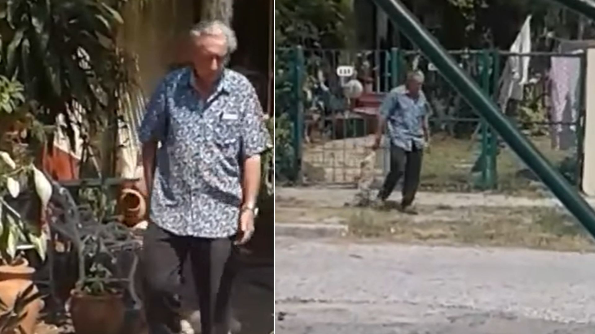 Maltrato animal en Cuba: anciano mata a un perro en Miramar