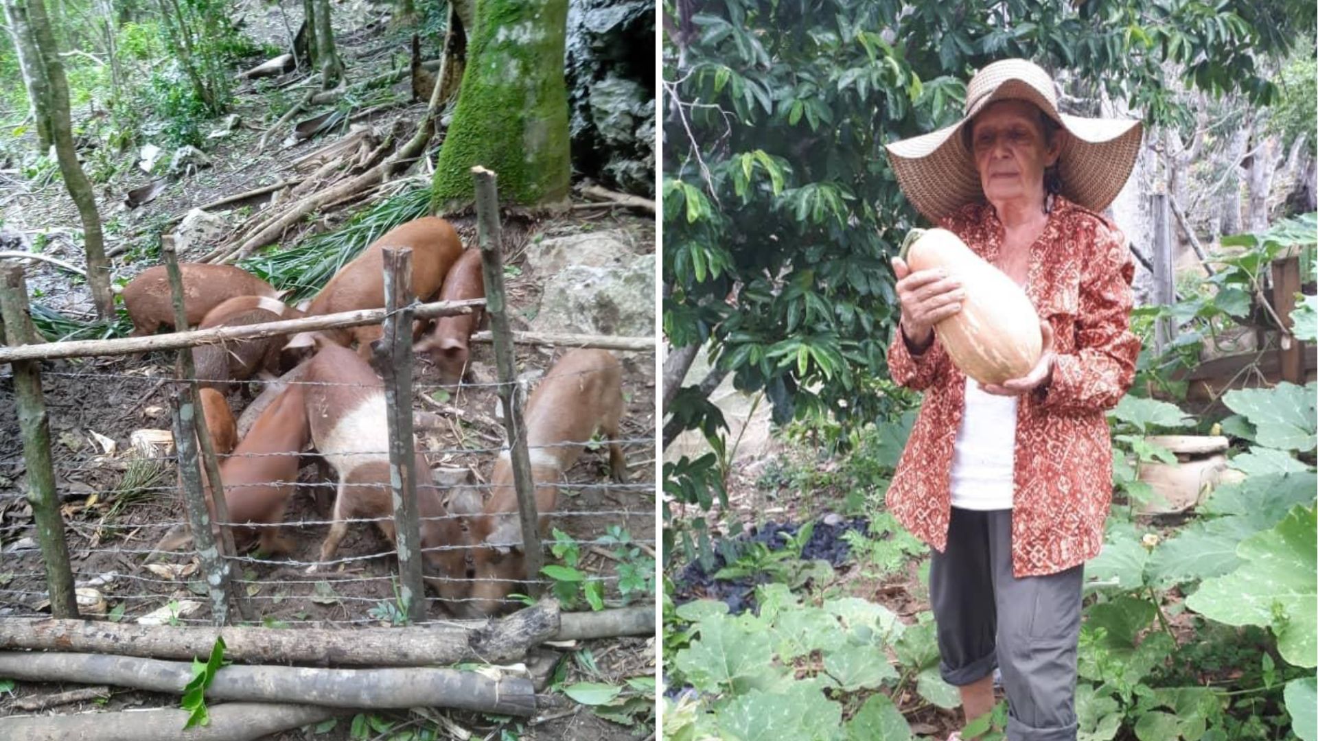 Ministerio de Agricultura ordena a madre de Ariel Ruiz Urquiola desalojar la finca