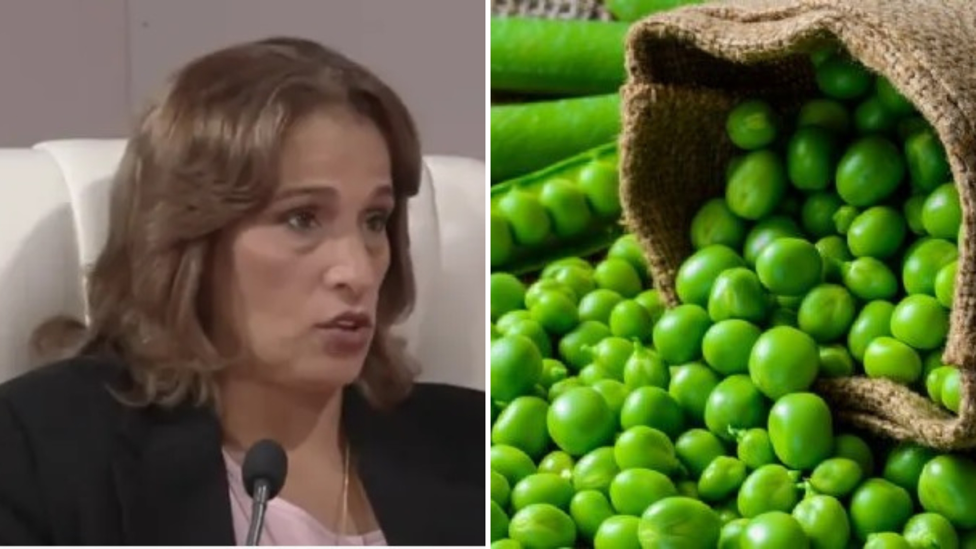 Ministra cubana justifica escasez de chícharos: “Se congelaron los ríos de Canadá”
