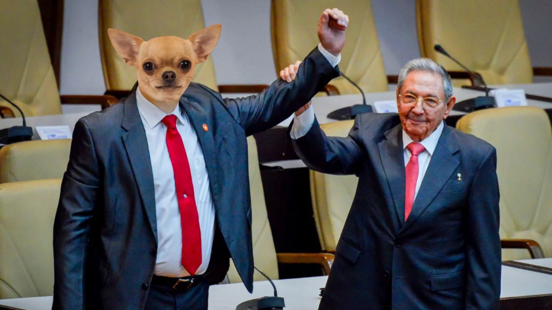 Mirringuita ladra igualitico que antes