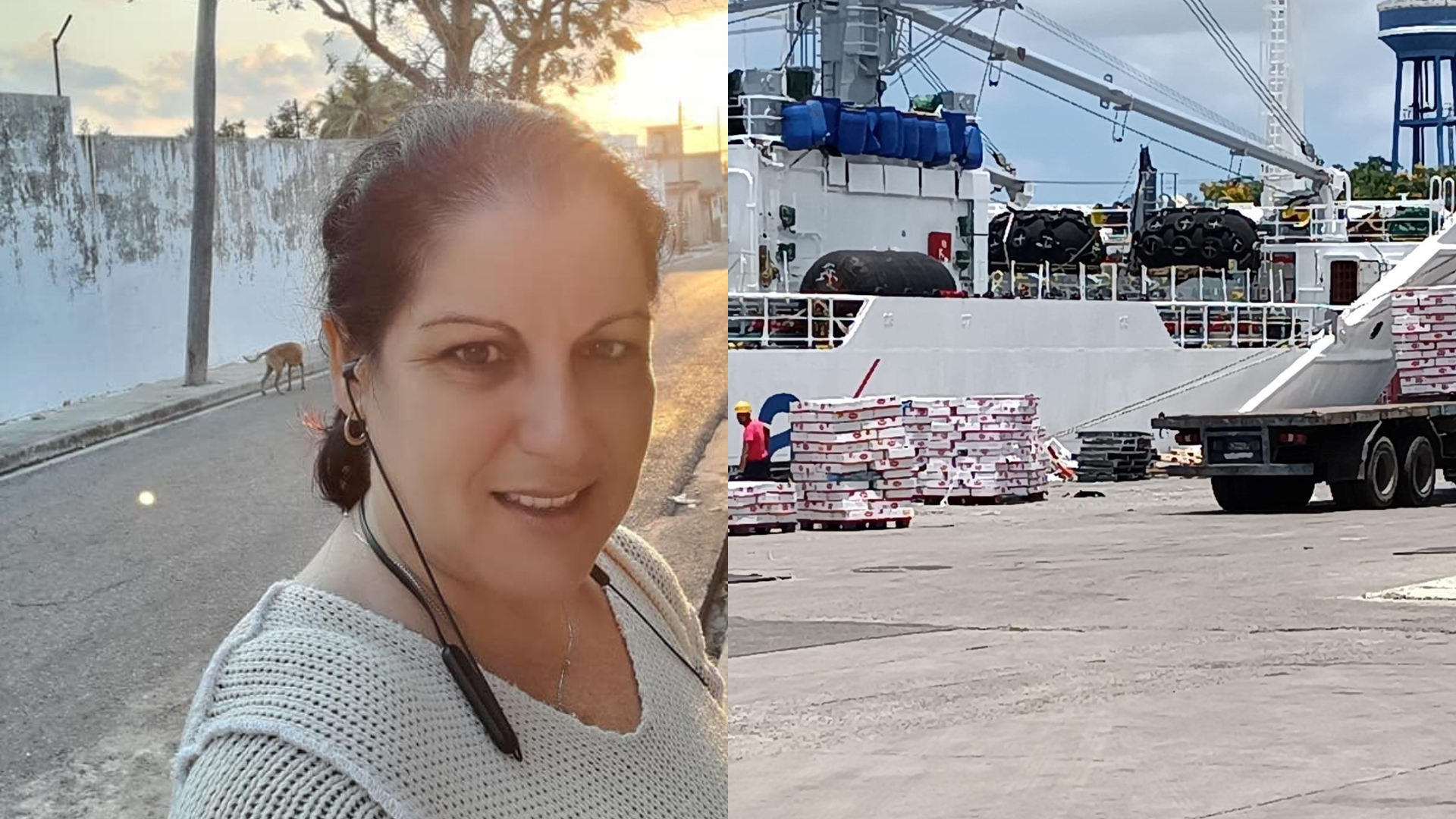 “Único país del mundo donde un barco con pollo es noticia”, dice periodista oficialista en Cuba