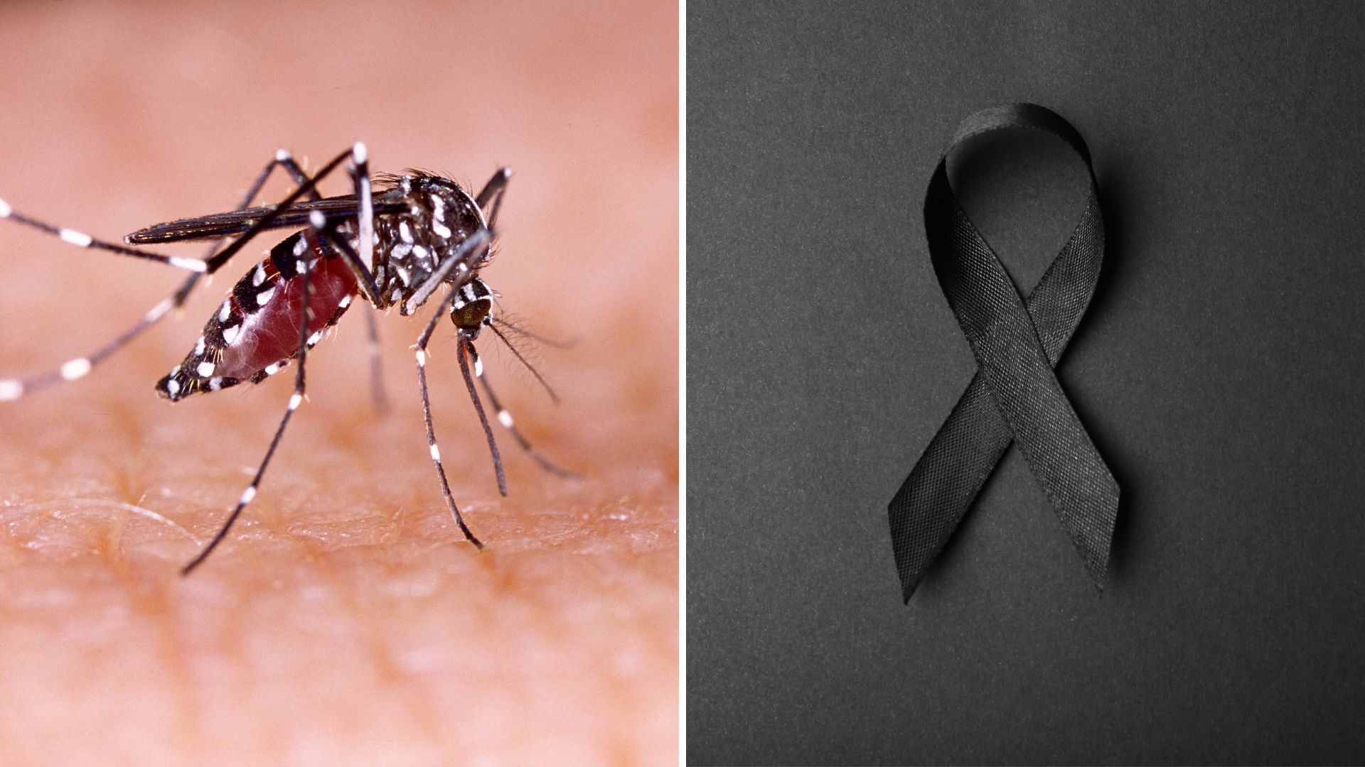 "No hay combustible para fumigar": niño cubano de 10 años muere por dengue