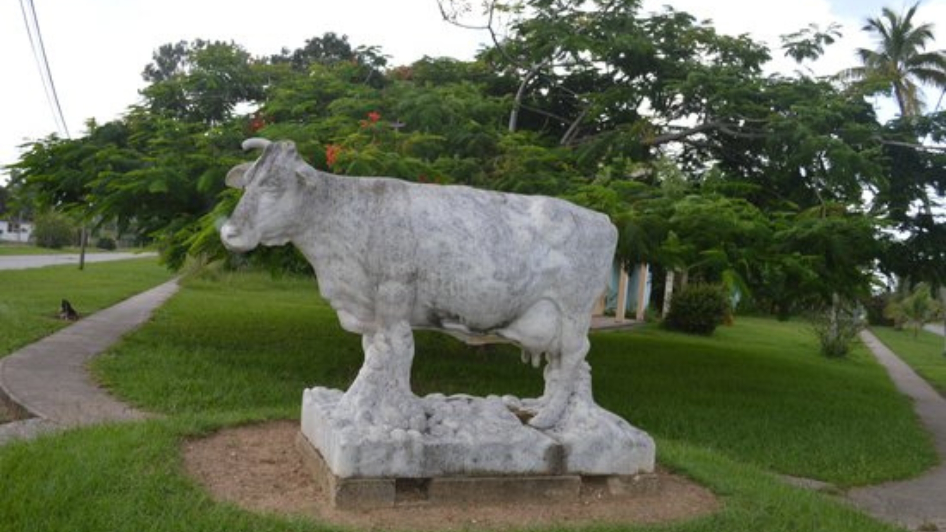 Piden restaurar escultura de vaca con la que Fidel Castro se obsesionó 