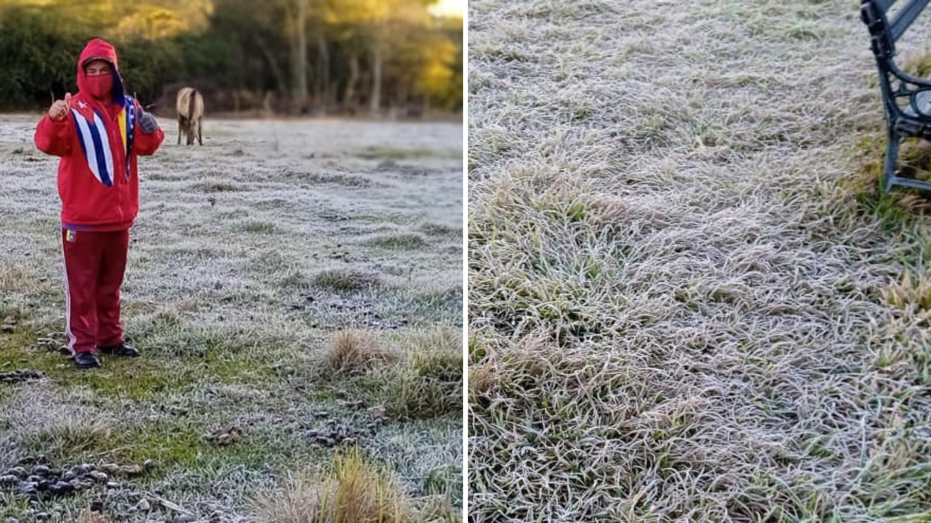 Poblado cienfueguero amanece con escarcha por bajas temperaturas
