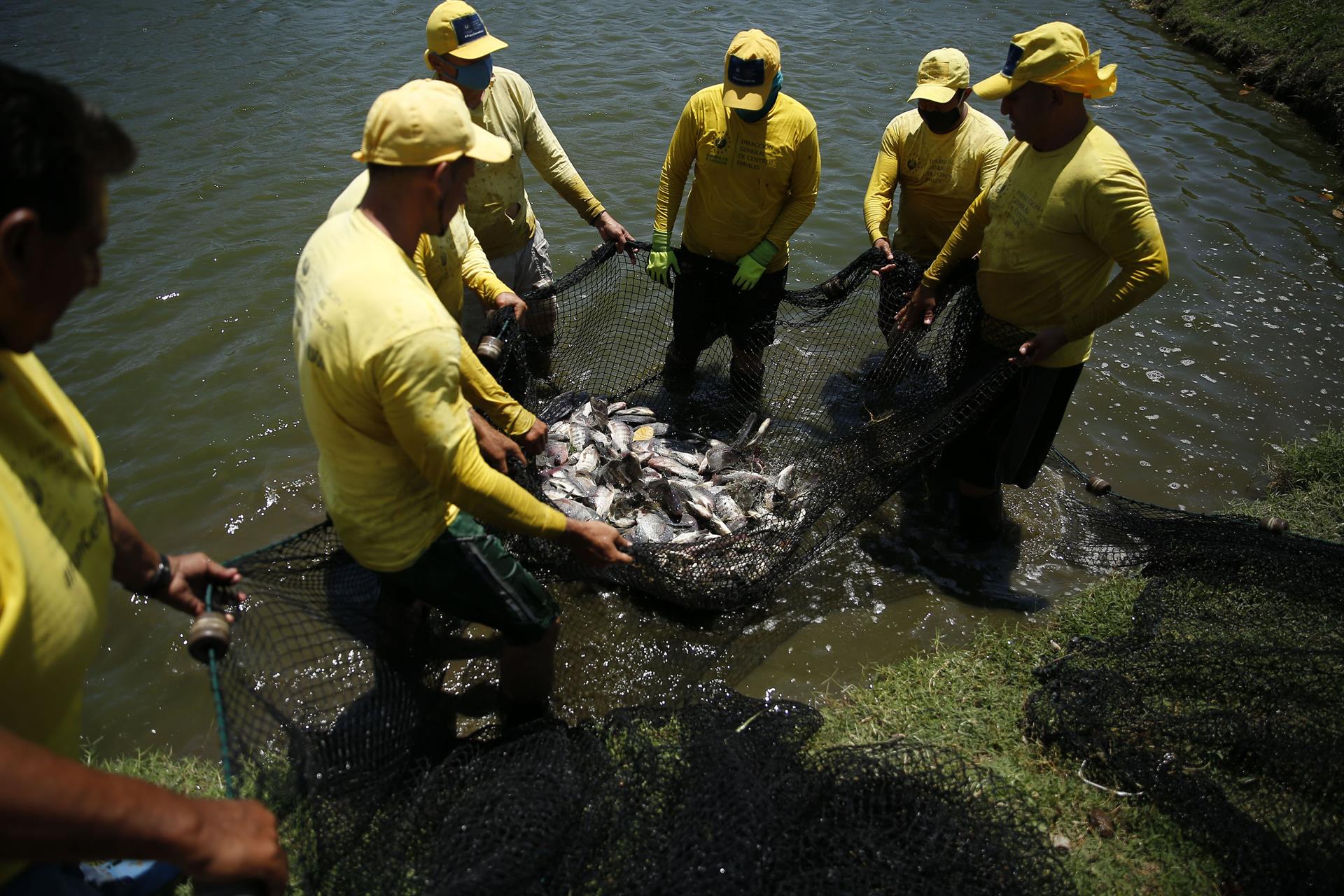 Presos de El Salvador deben trabajar para comer: la nueva estrategia de Bukele