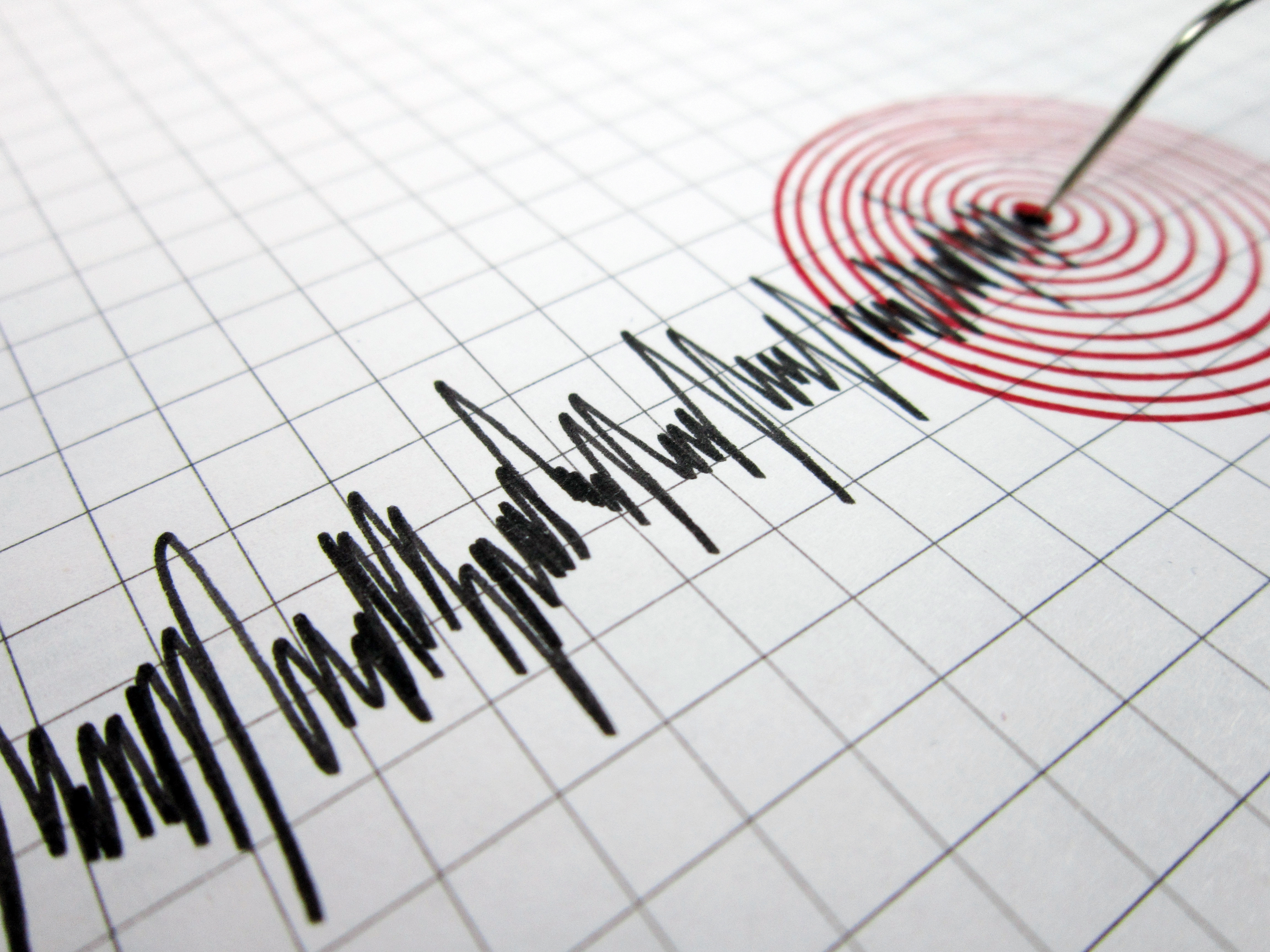 Qué hacer durante un terremoto y qué esperar días después, según expertos