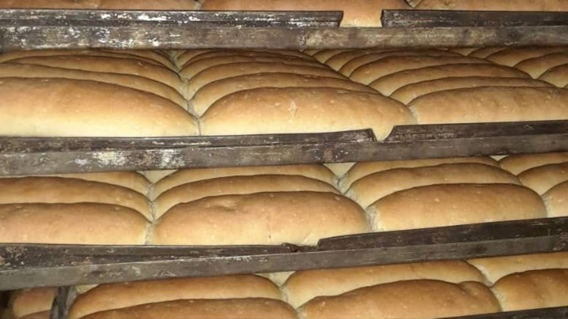 Régimen anuncia venta liberada de "pan perro" en La Habana