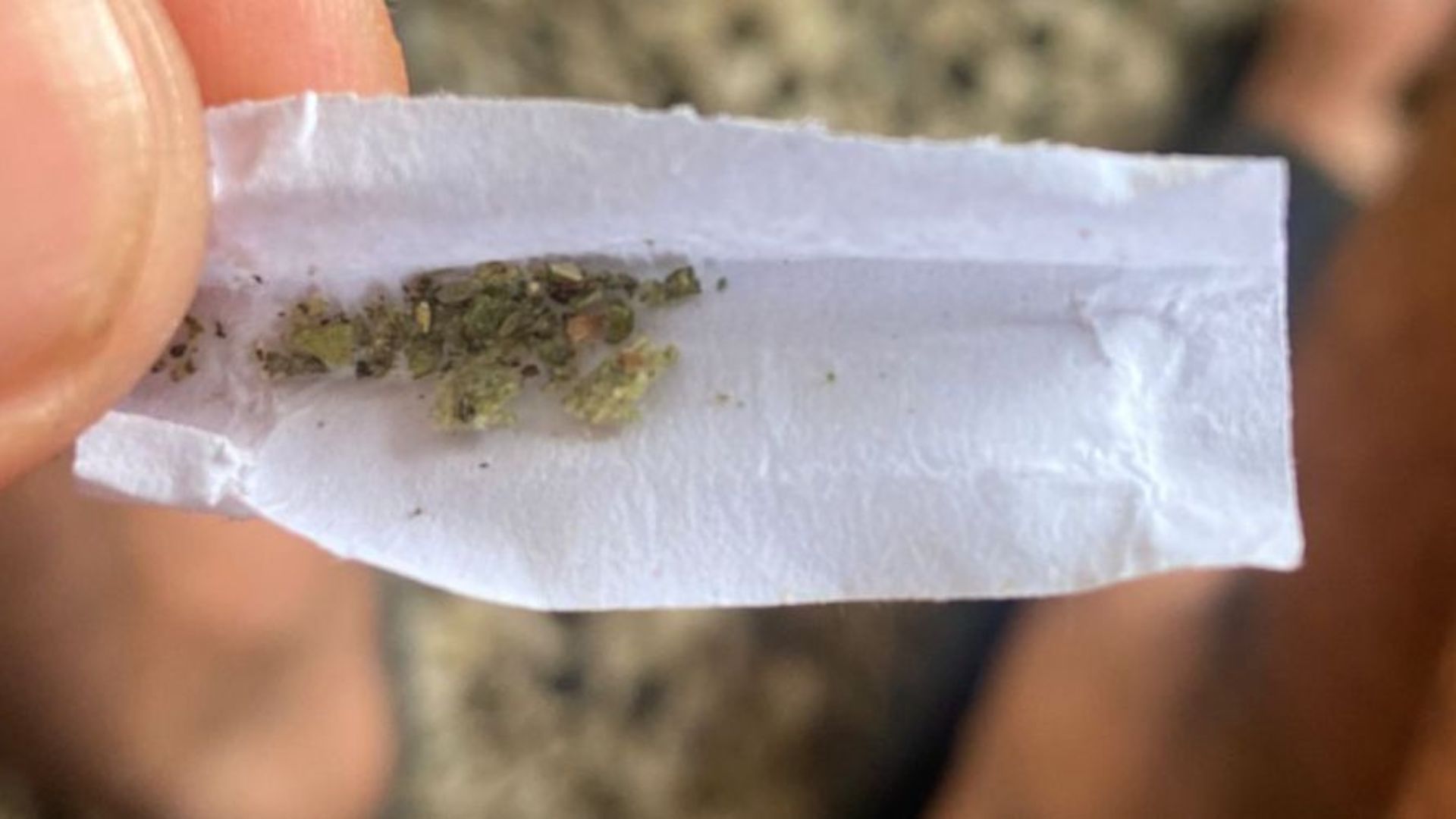 Régimen asegura que drogas consumidas en Cuba provienen de Estados Unidos