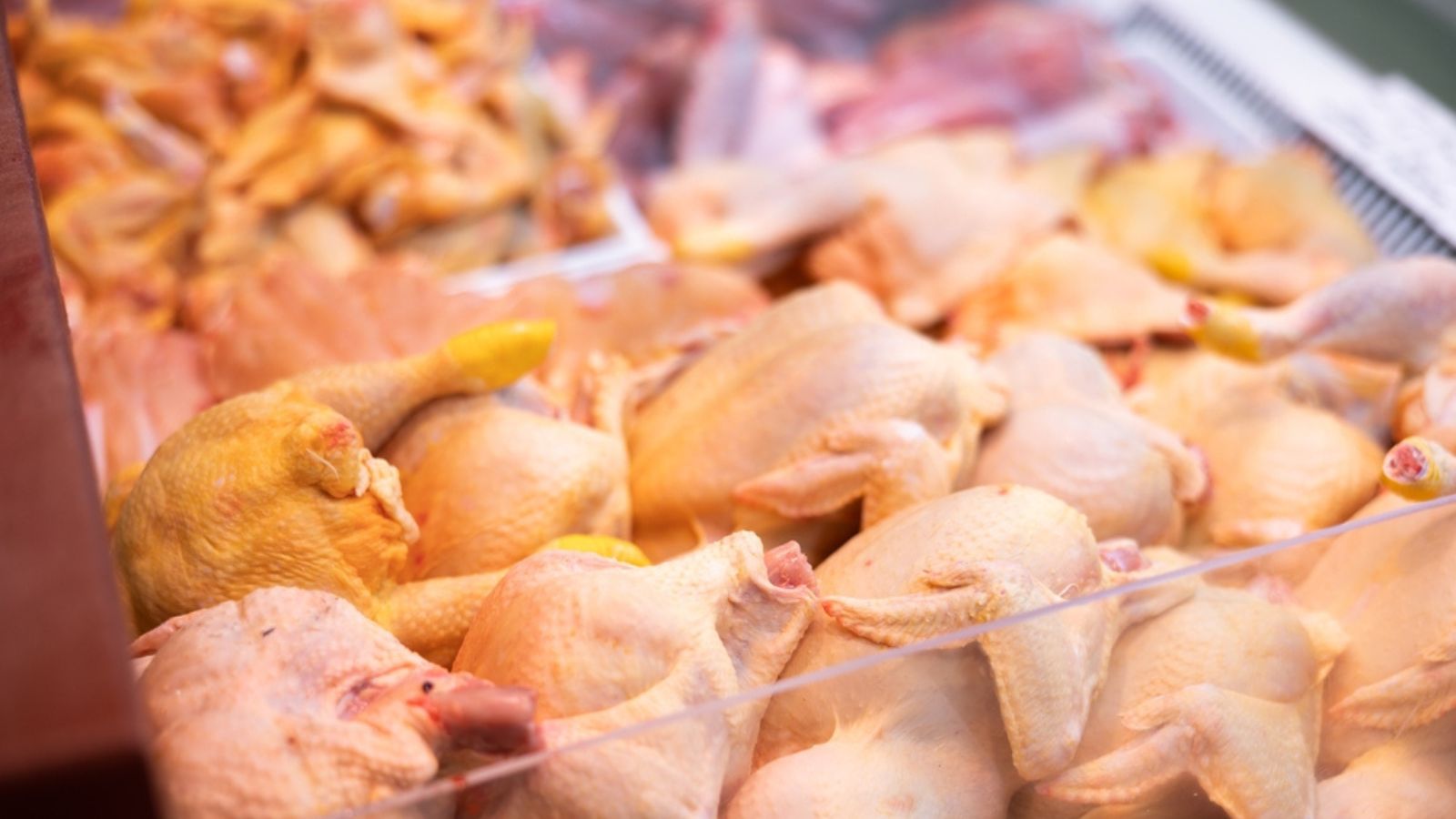 Régimen compró menos pollo a Estados Unidos en 2024