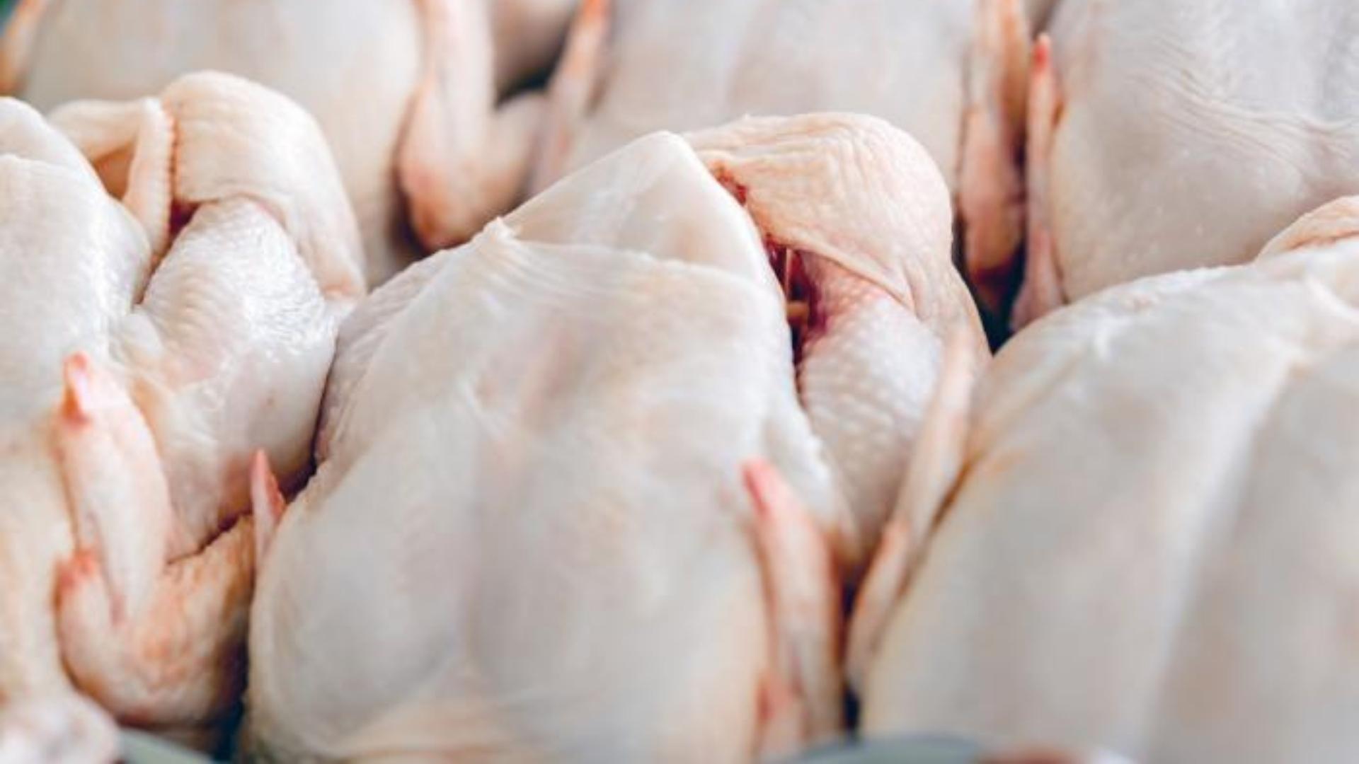 Régimen cubano disminuye la compra de pollo a EE.UU en lo que va de año