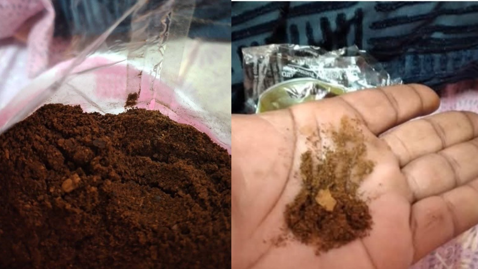 Régimen defiende calidad del café normado pese a críticas de consumidores