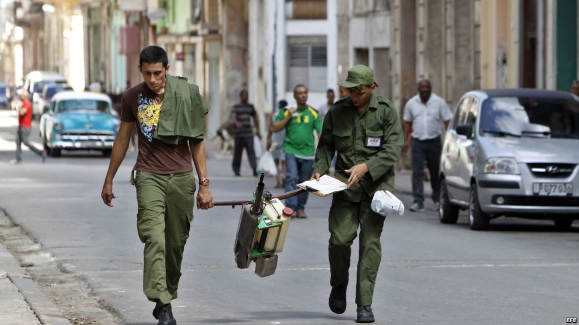 Régimen emplea peces en Santiago de Cuba para combatir el Aedes aegypti