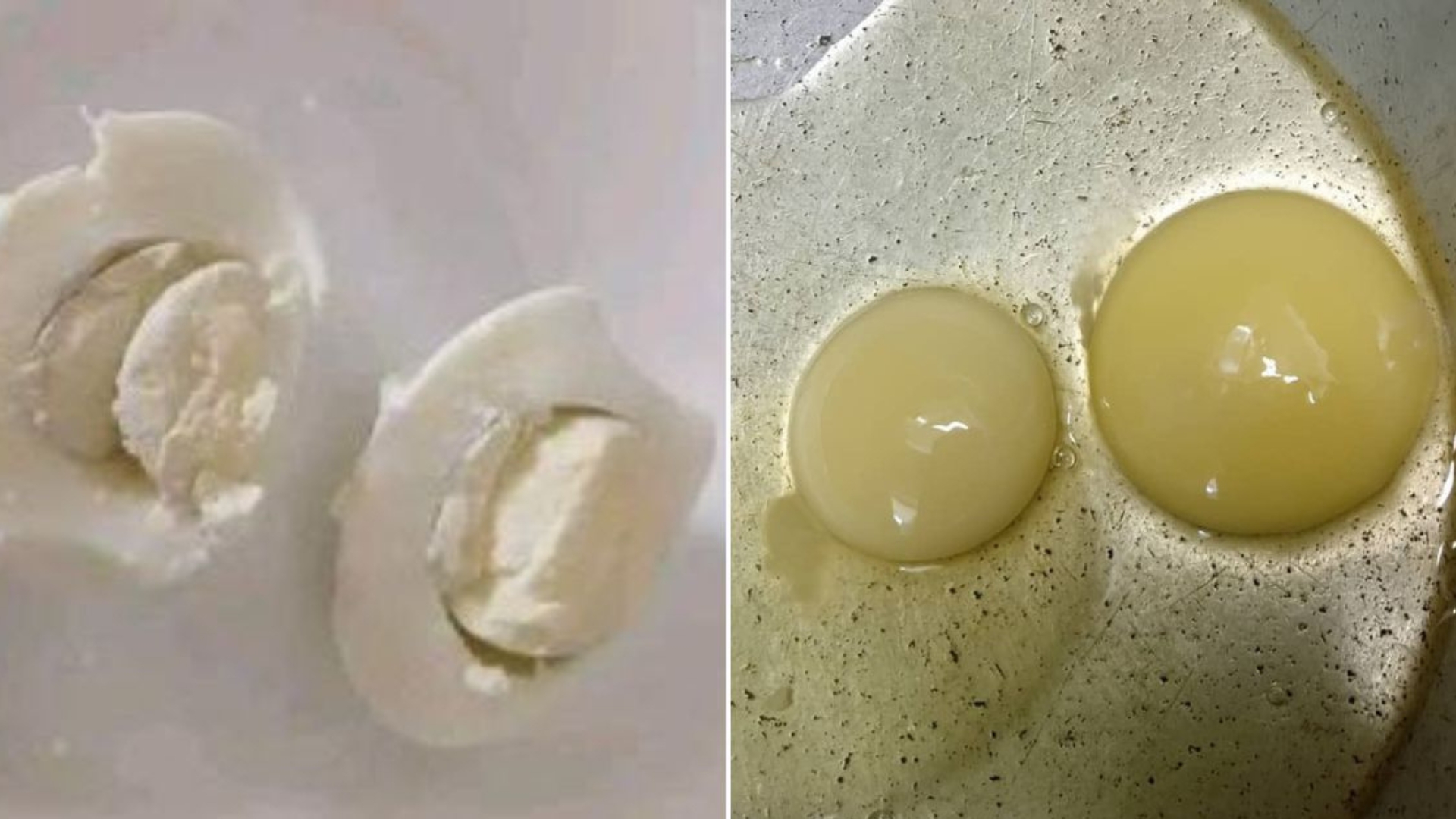 Régimen explica el “misterio” de los huevos con yemas blancas en Cuba